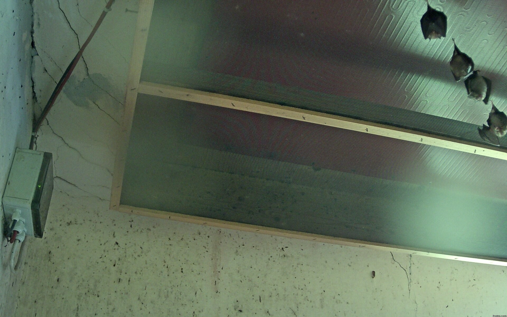 Archived image Webcam Feistritz / Gail - Bat House