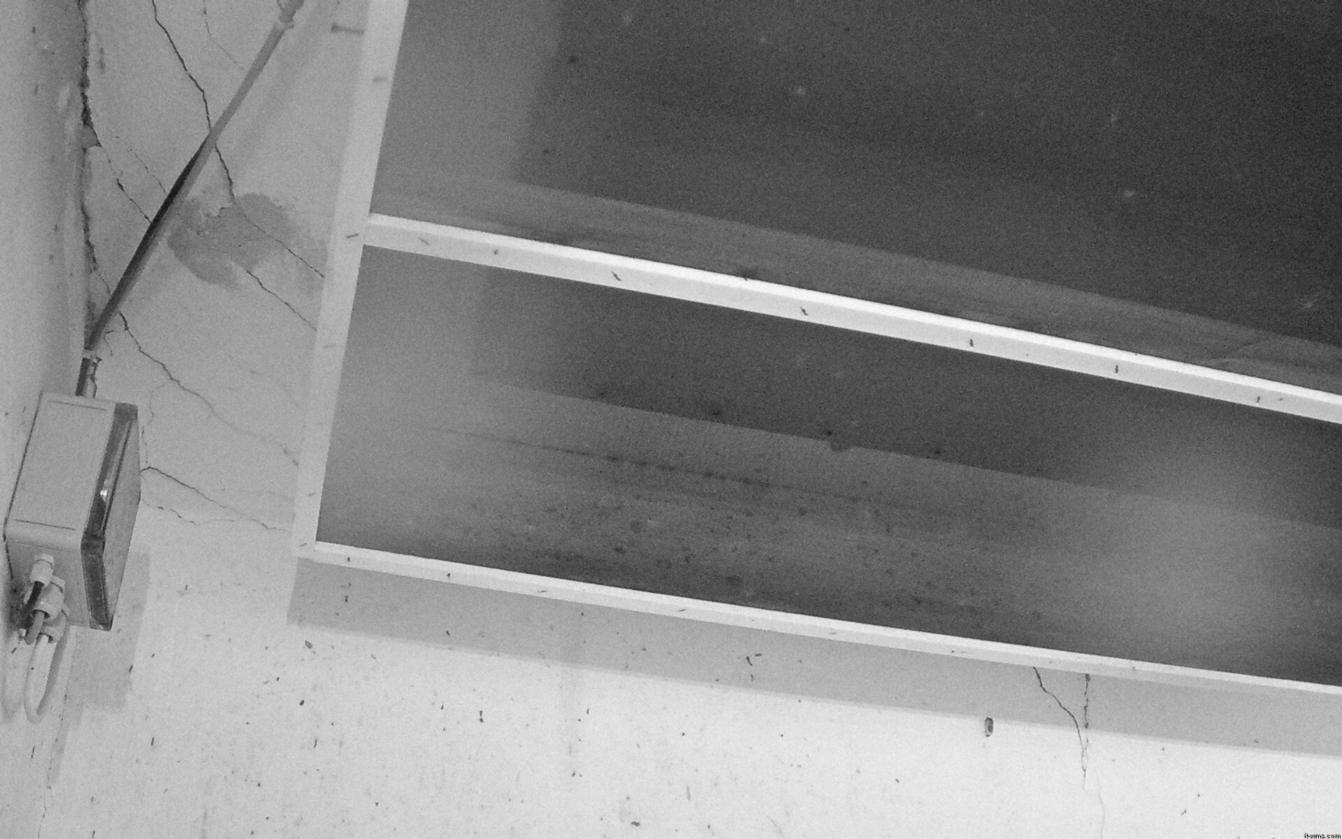 Archived image Webcam Feistritz / Gail - Bat House