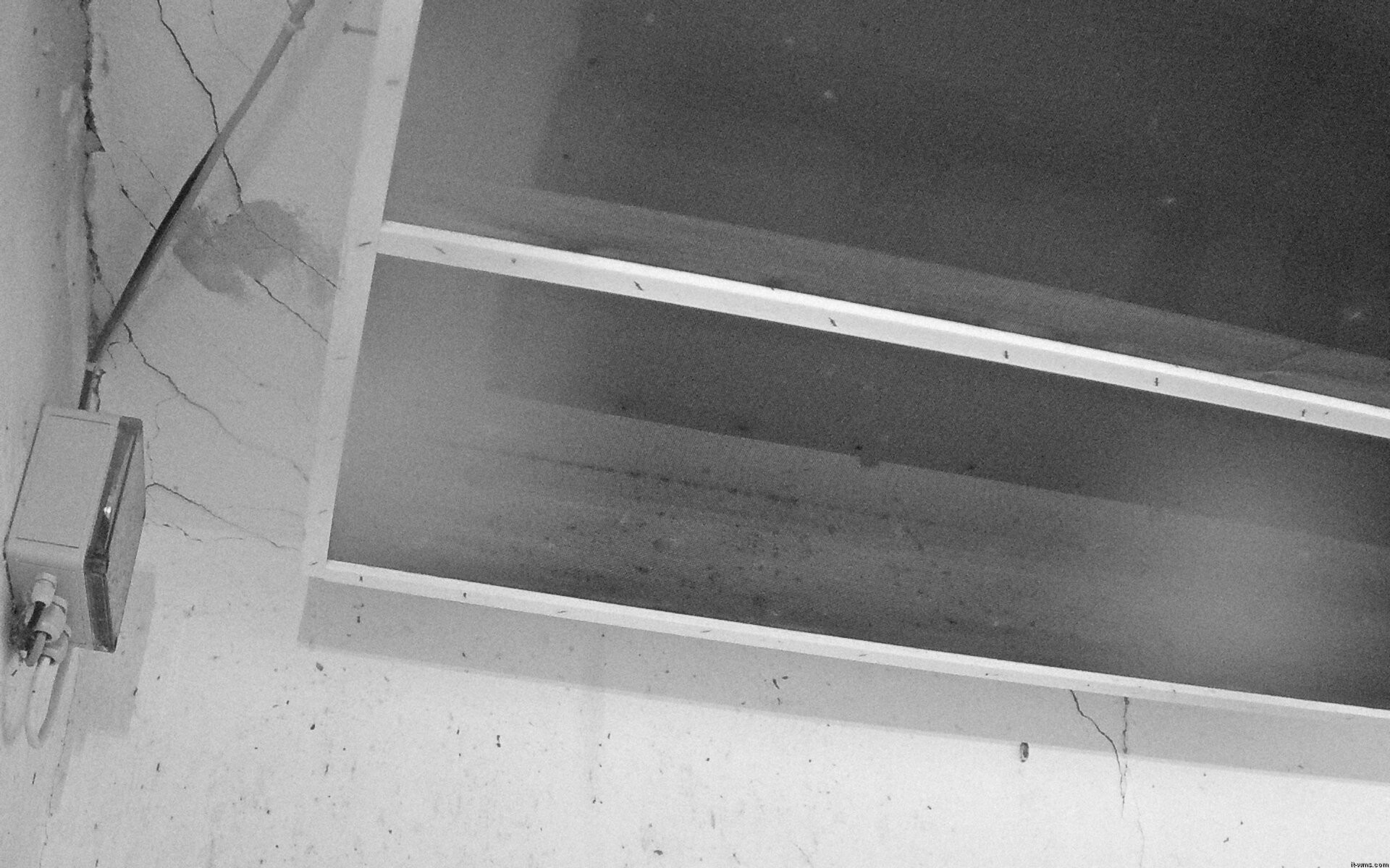 Archived image Webcam Feistritz / Gail - Bat House