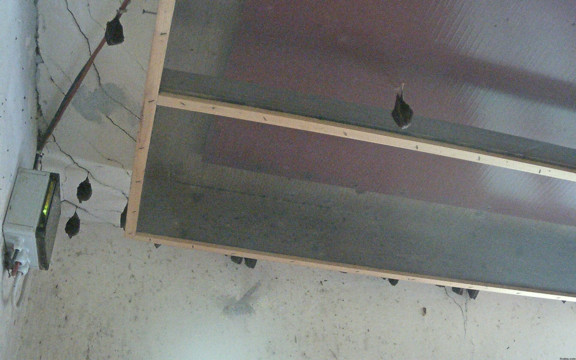 Archiv Foto Webcam Feistritz - Fledermaushaus