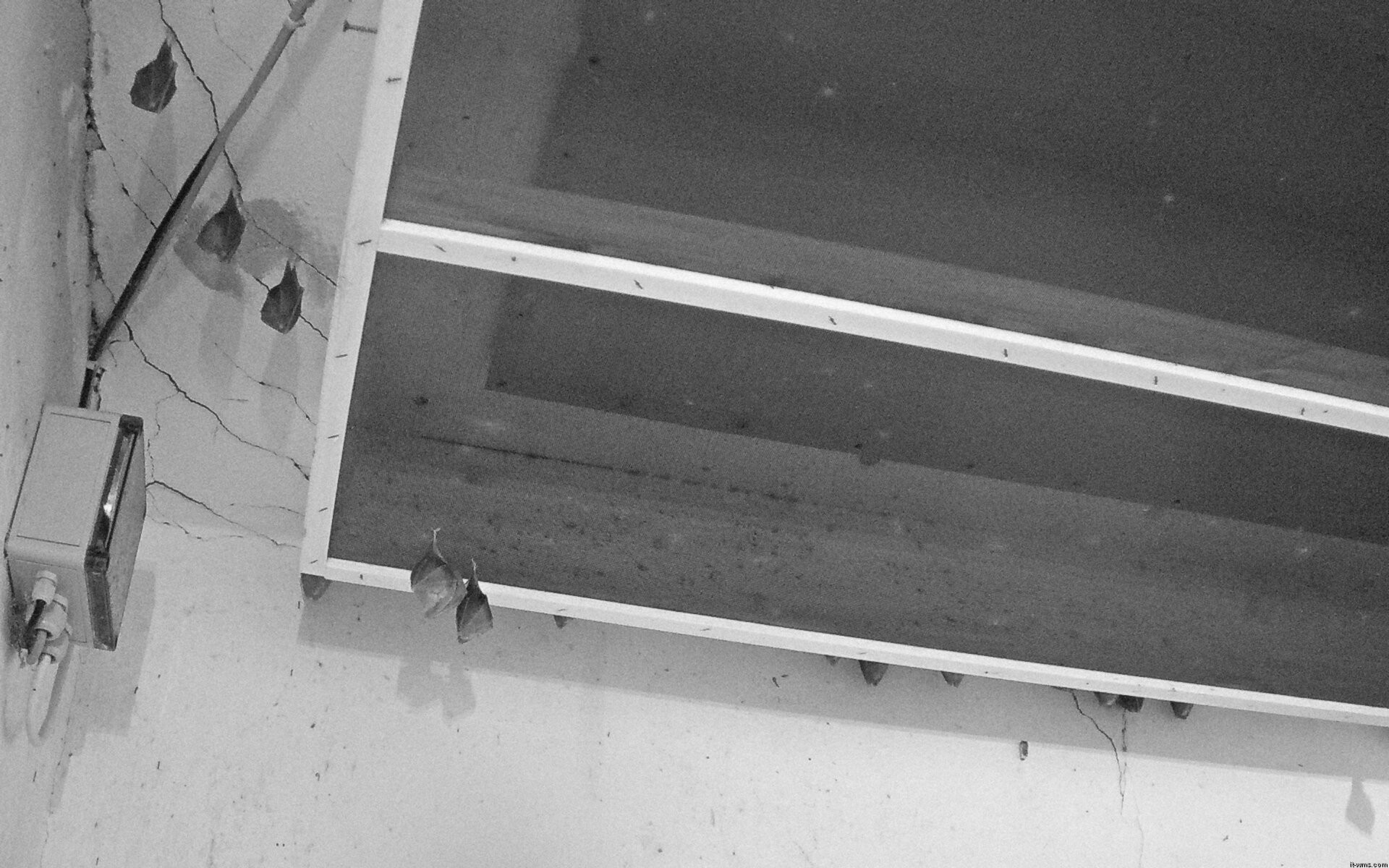 Archived image Webcam Feistritz / Gail - Bat House