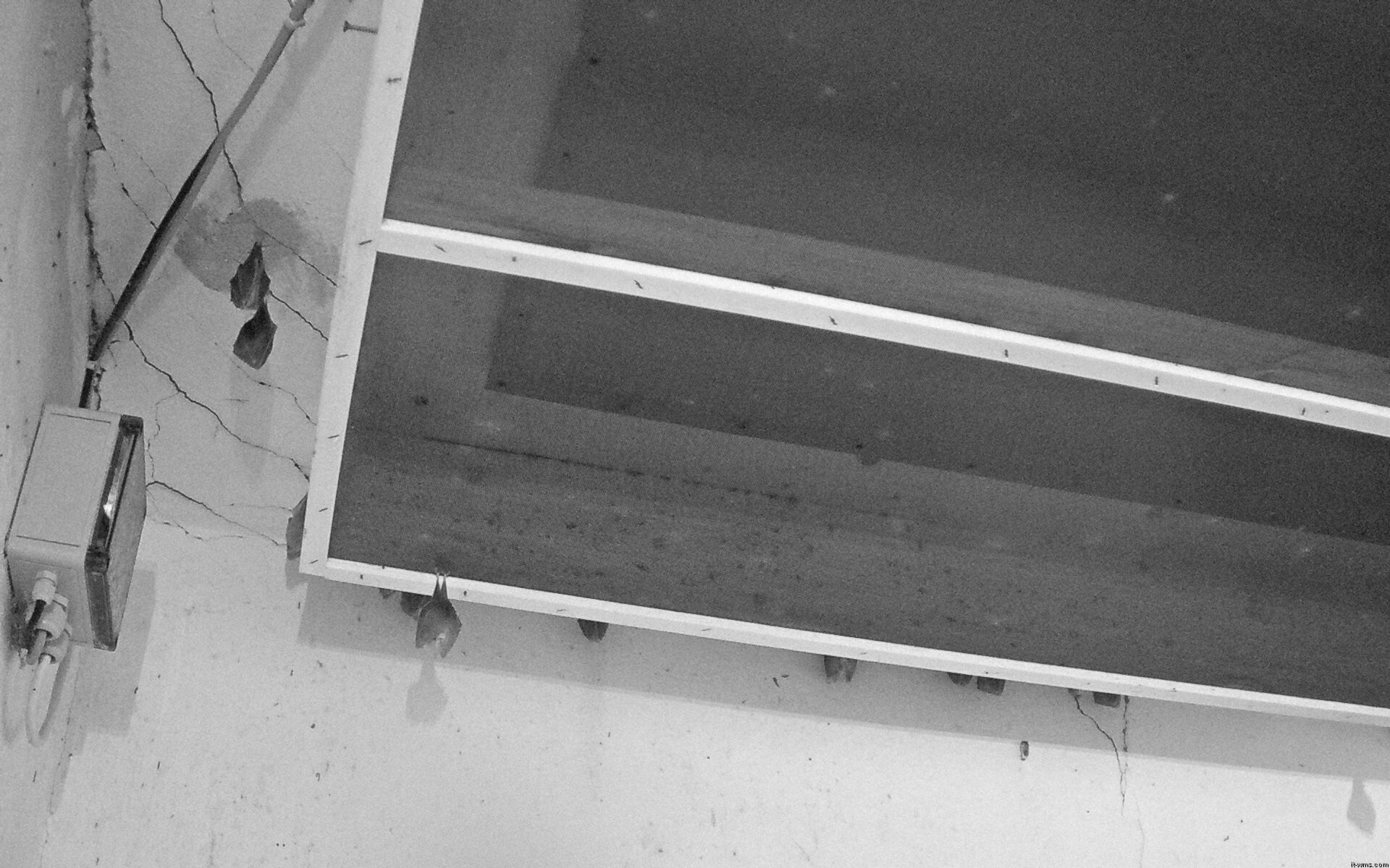 Archiv Foto Webcam Feistritz - Fledermaushaus