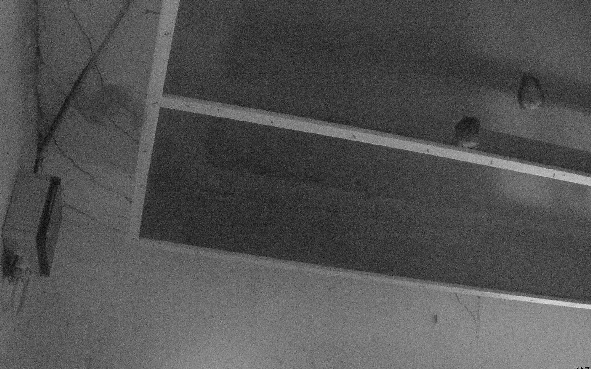 Archived image Webcam Feistritz / Gail - Bat House