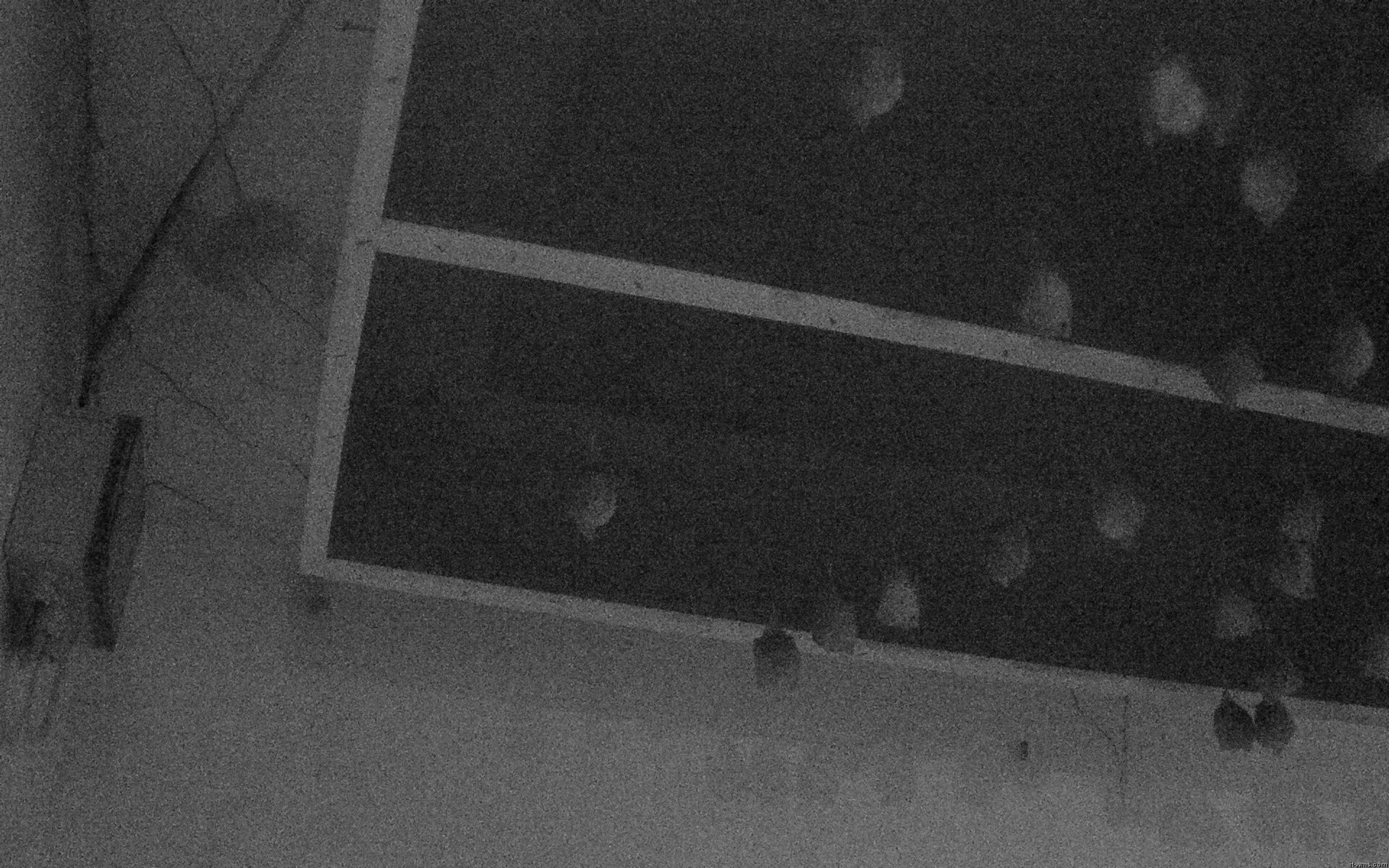 Archiv Foto Webcam Feistritz - Fledermaushaus