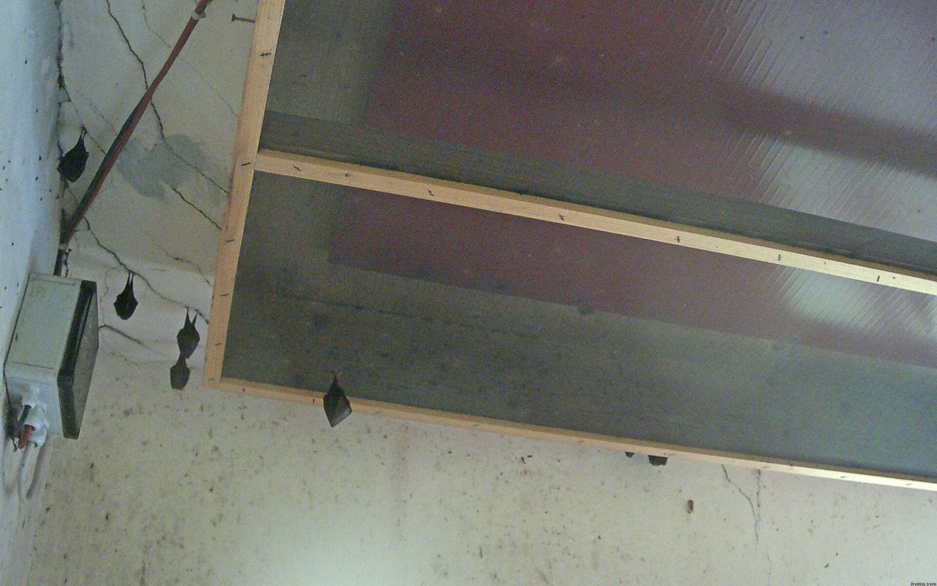 Archiv Foto Webcam Feistritz - Fledermaushaus