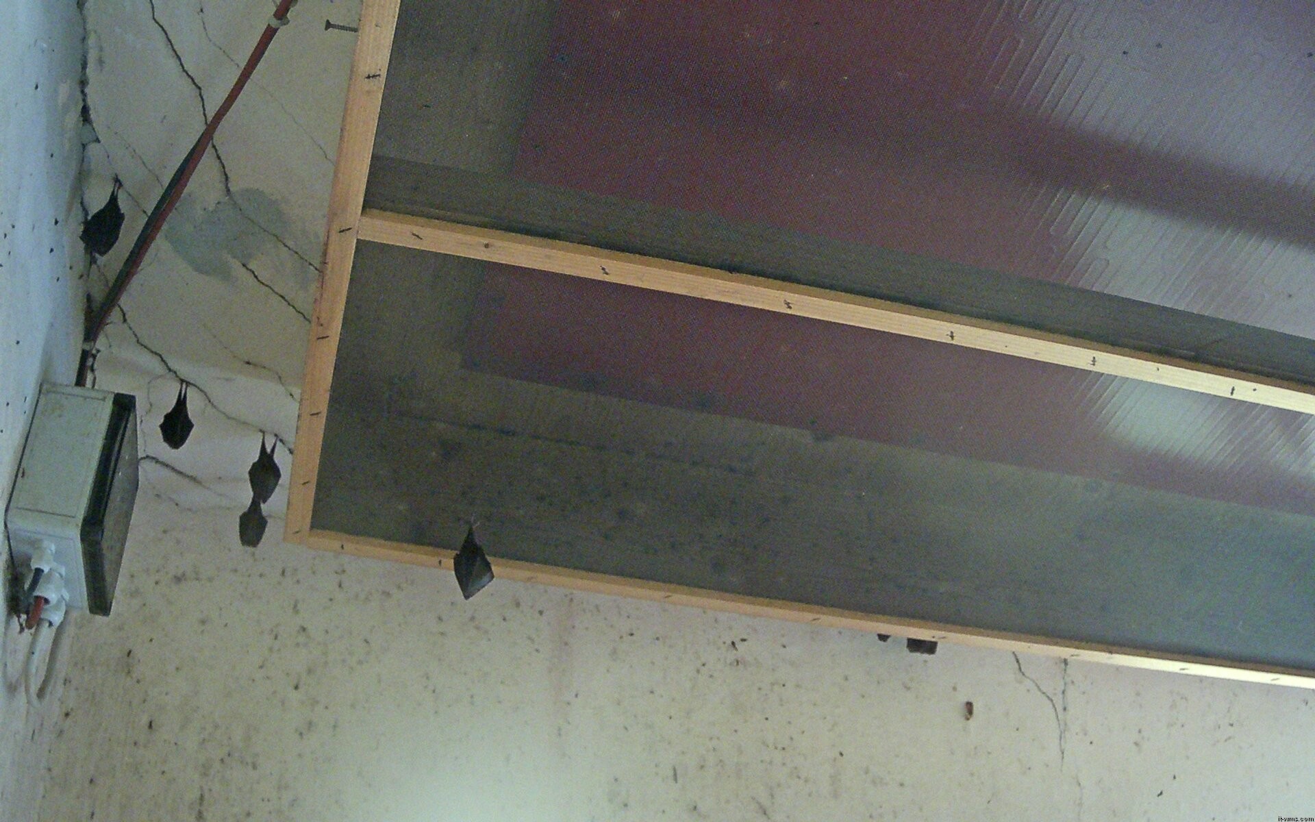 Archiv Foto Webcam Feistritz - Fledermaushaus