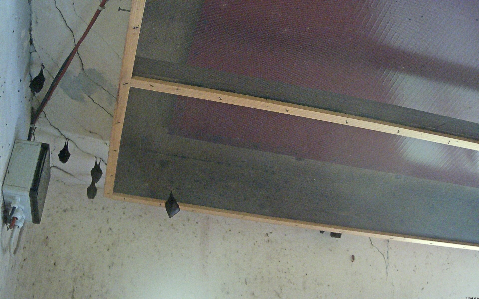 Archiv Foto Webcam Feistritz - Fledermaushaus