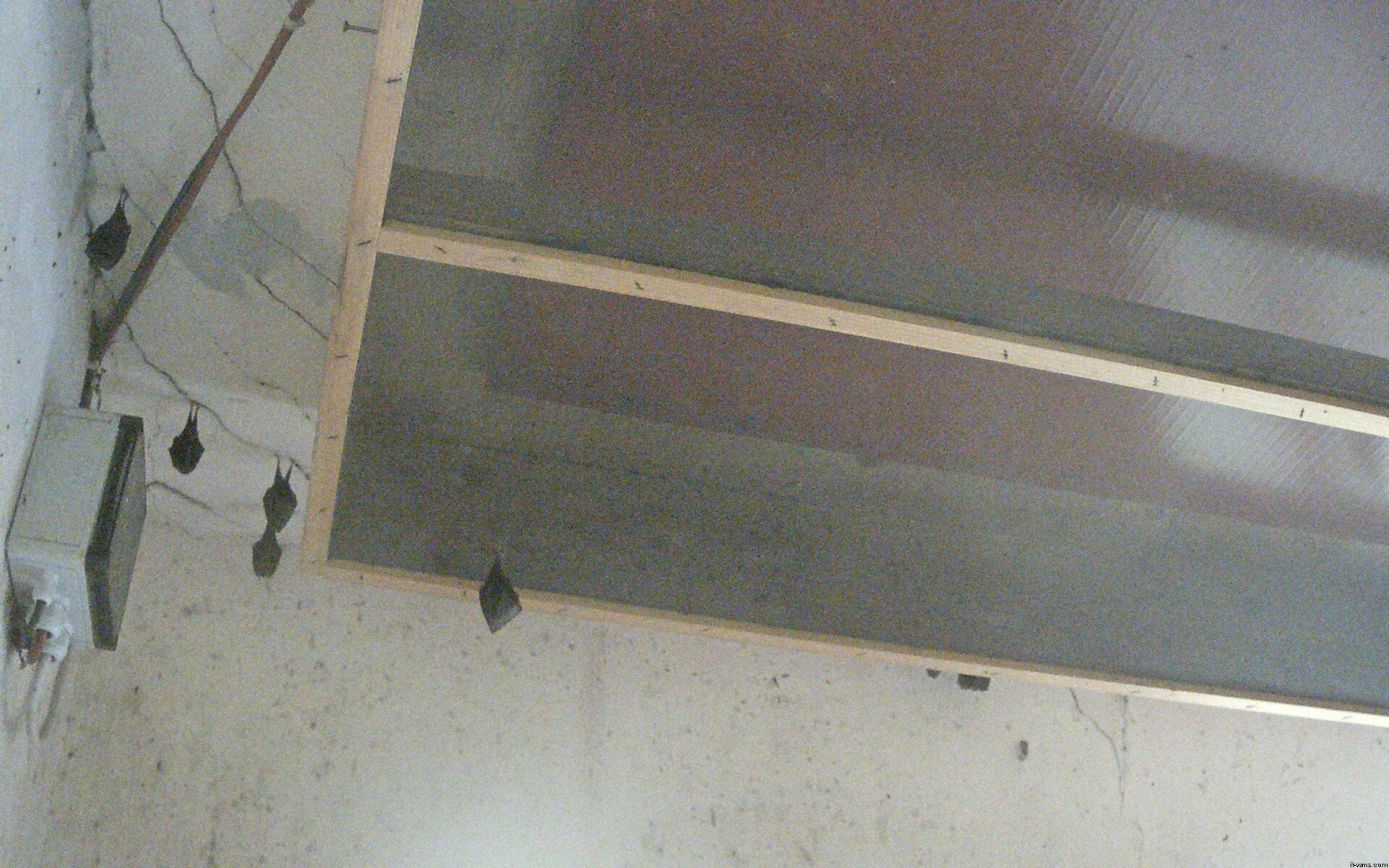 Archiv Foto Webcam Feistritz - Fledermaushaus