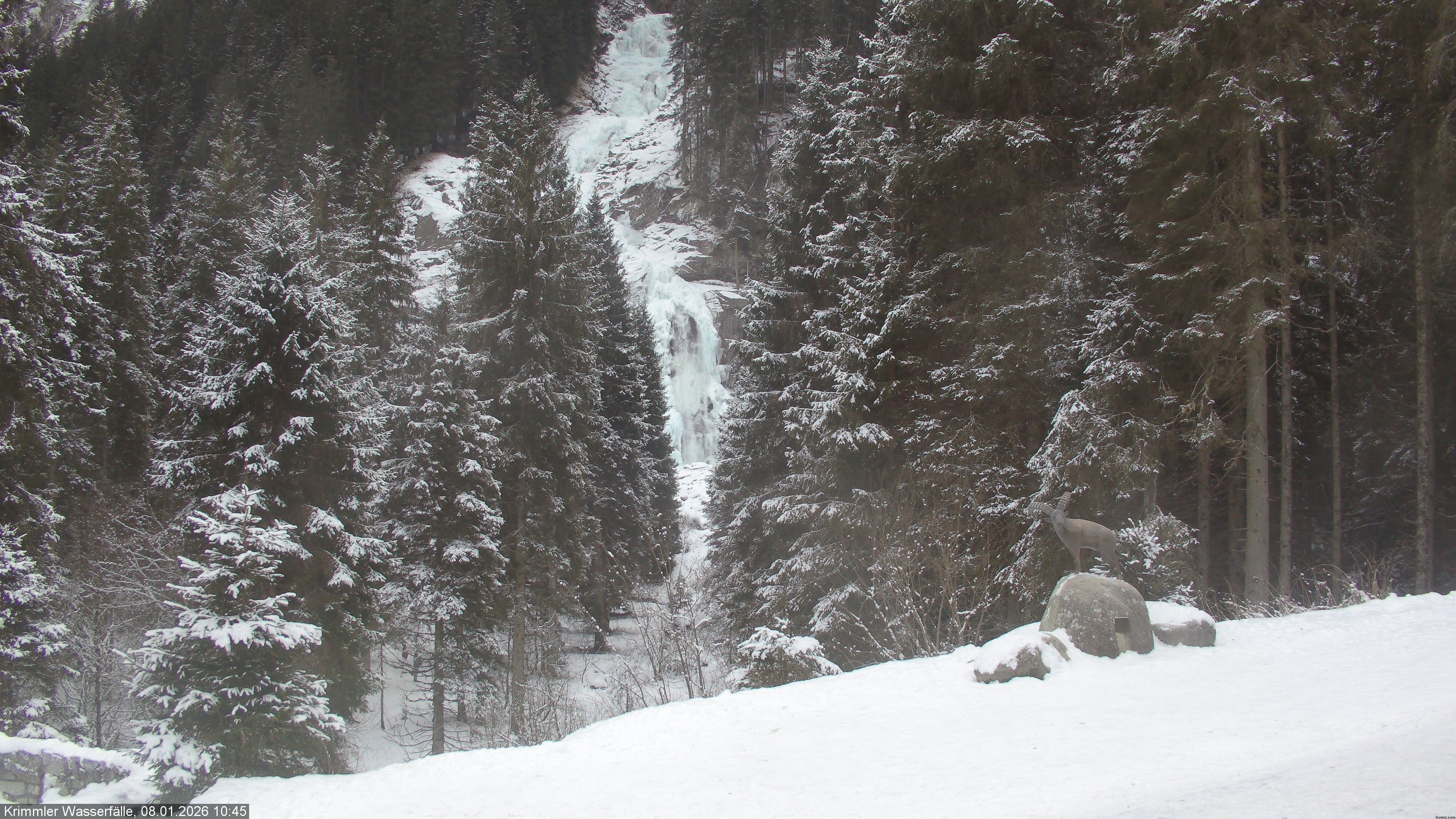 Archiv Foto Webcam Krimmler Wasserfall - Hanke's Café