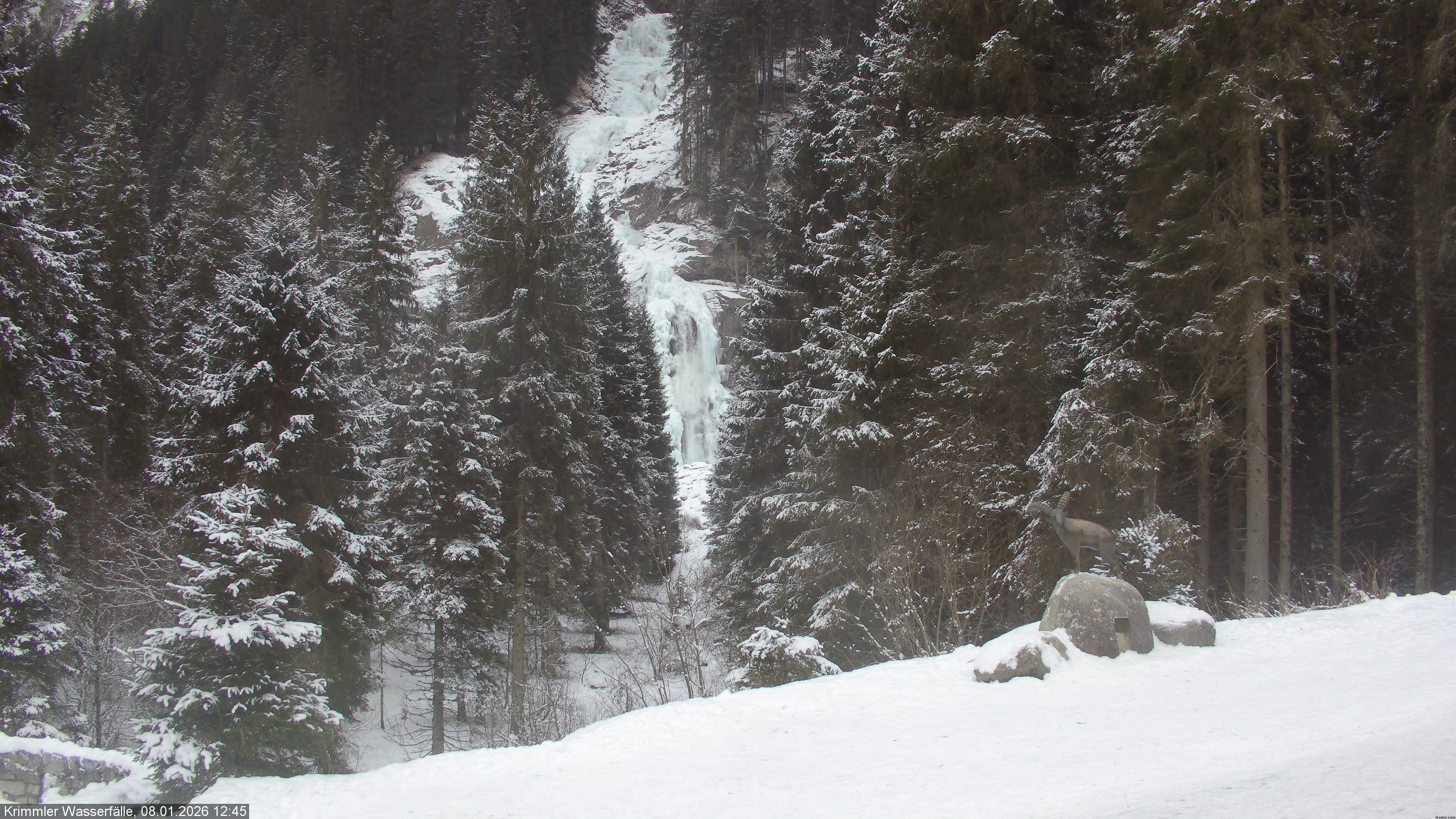 Archived image Webcam Hanke's Café - Krimml Waterfalls