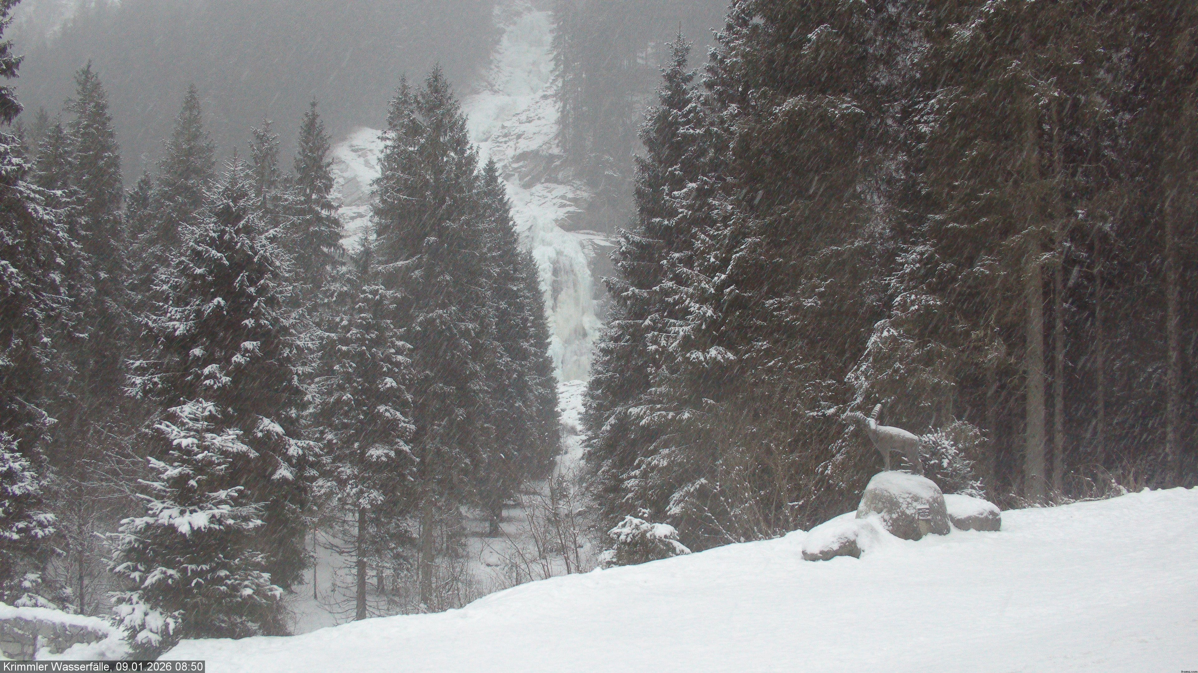 Archived image Webcam Hanke's Café - Krimml Waterfalls