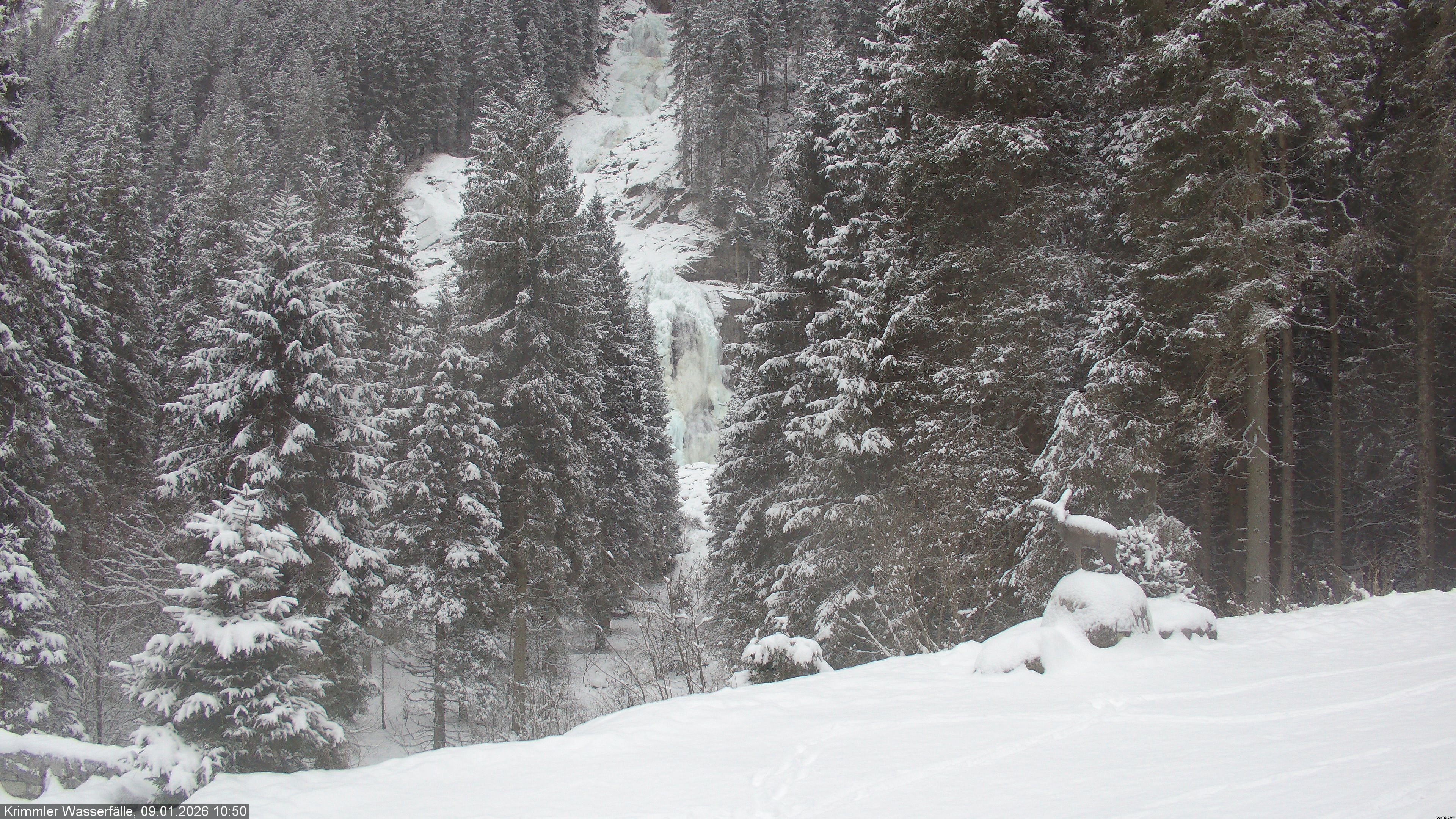 Archived image Webcam Hanke's Café - Krimml Waterfalls