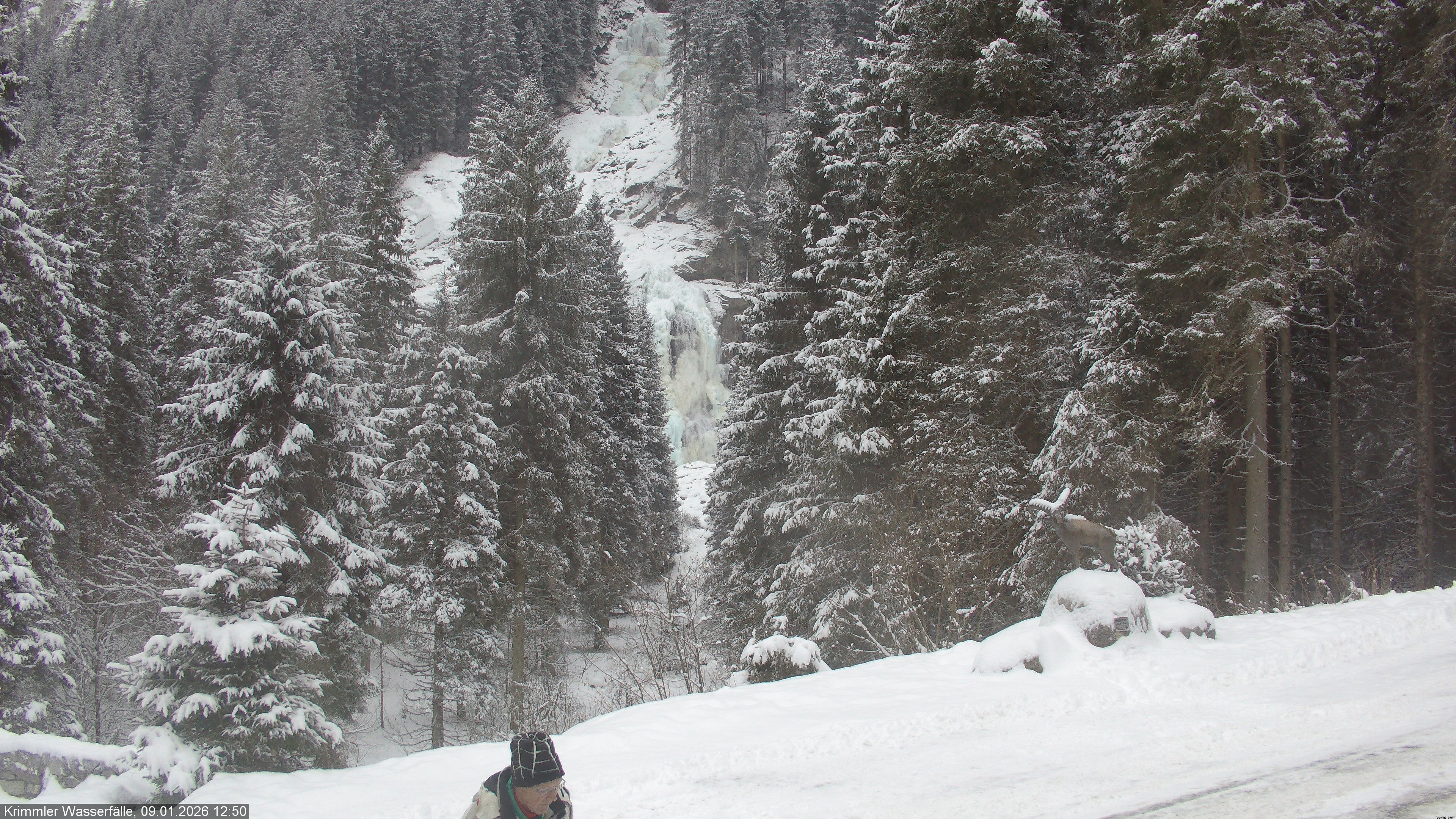 Archived image Webcam Hanke's Café - Krimml Waterfalls