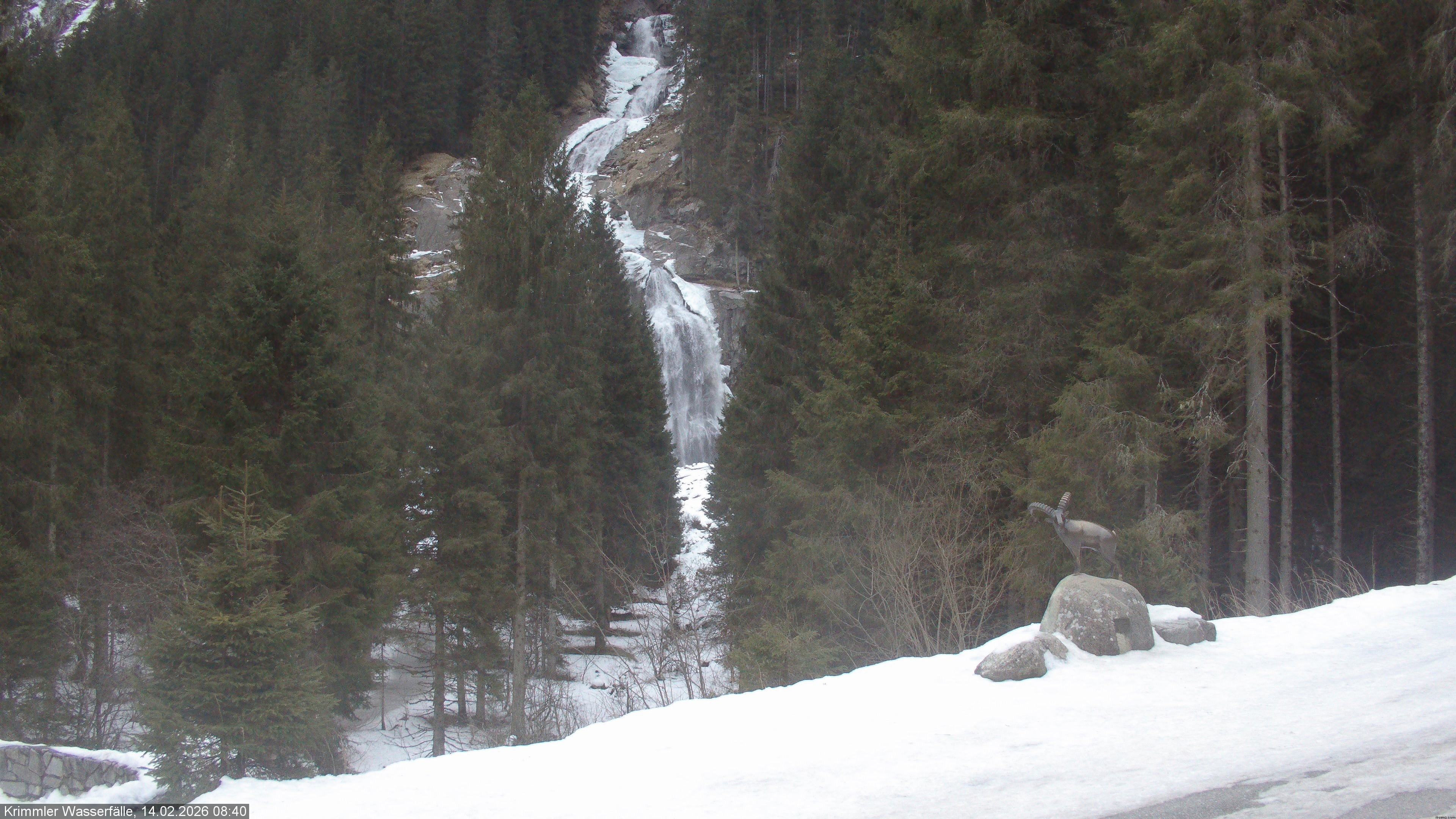 Archived image Webcam Hanke's Café - Krimml Waterfalls