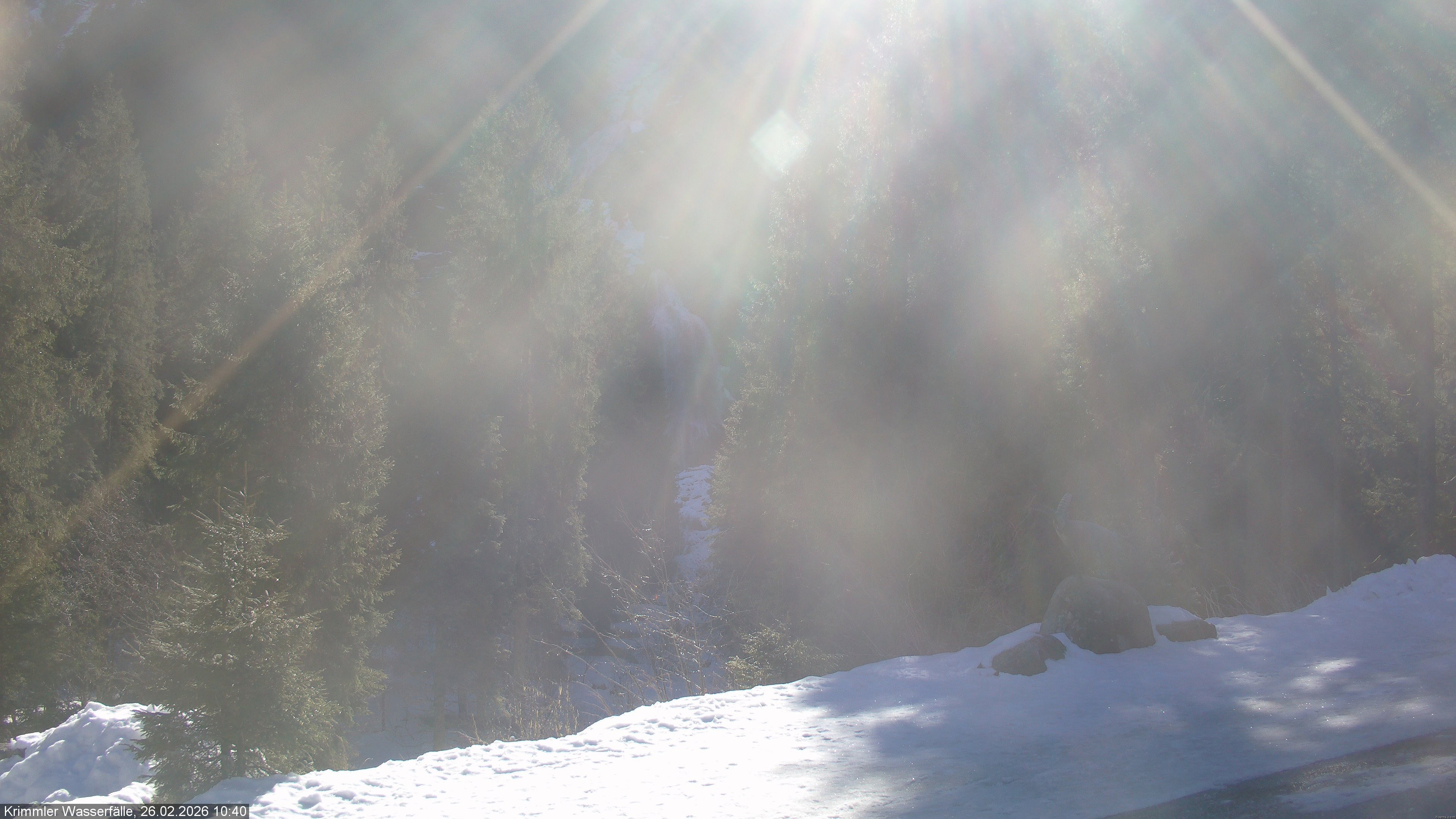 Archived image Webcam Hanke's Café - Krimml Waterfalls