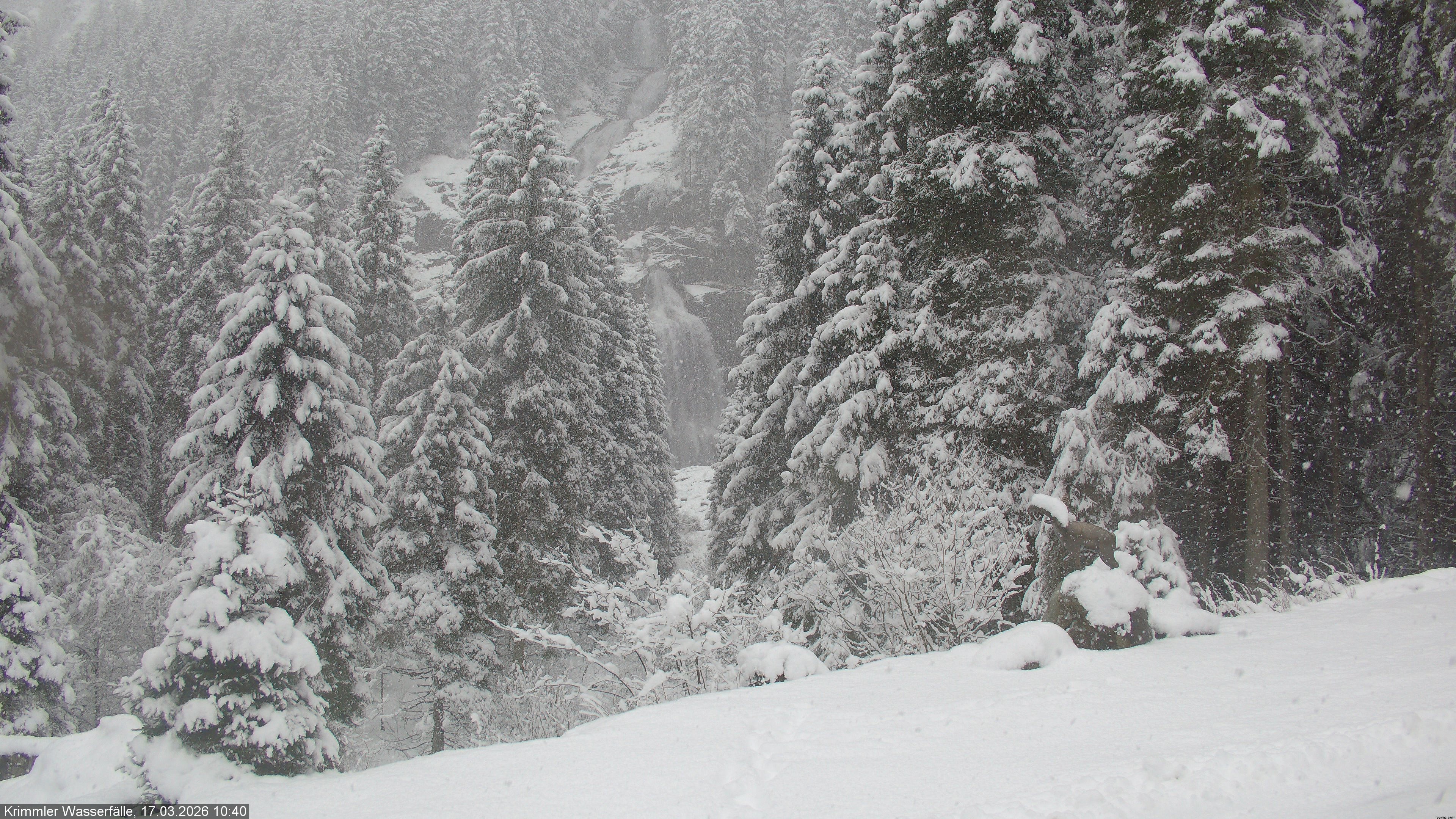 Archiv Foto Webcam Krimmler Wasserfall - Hanke's Café