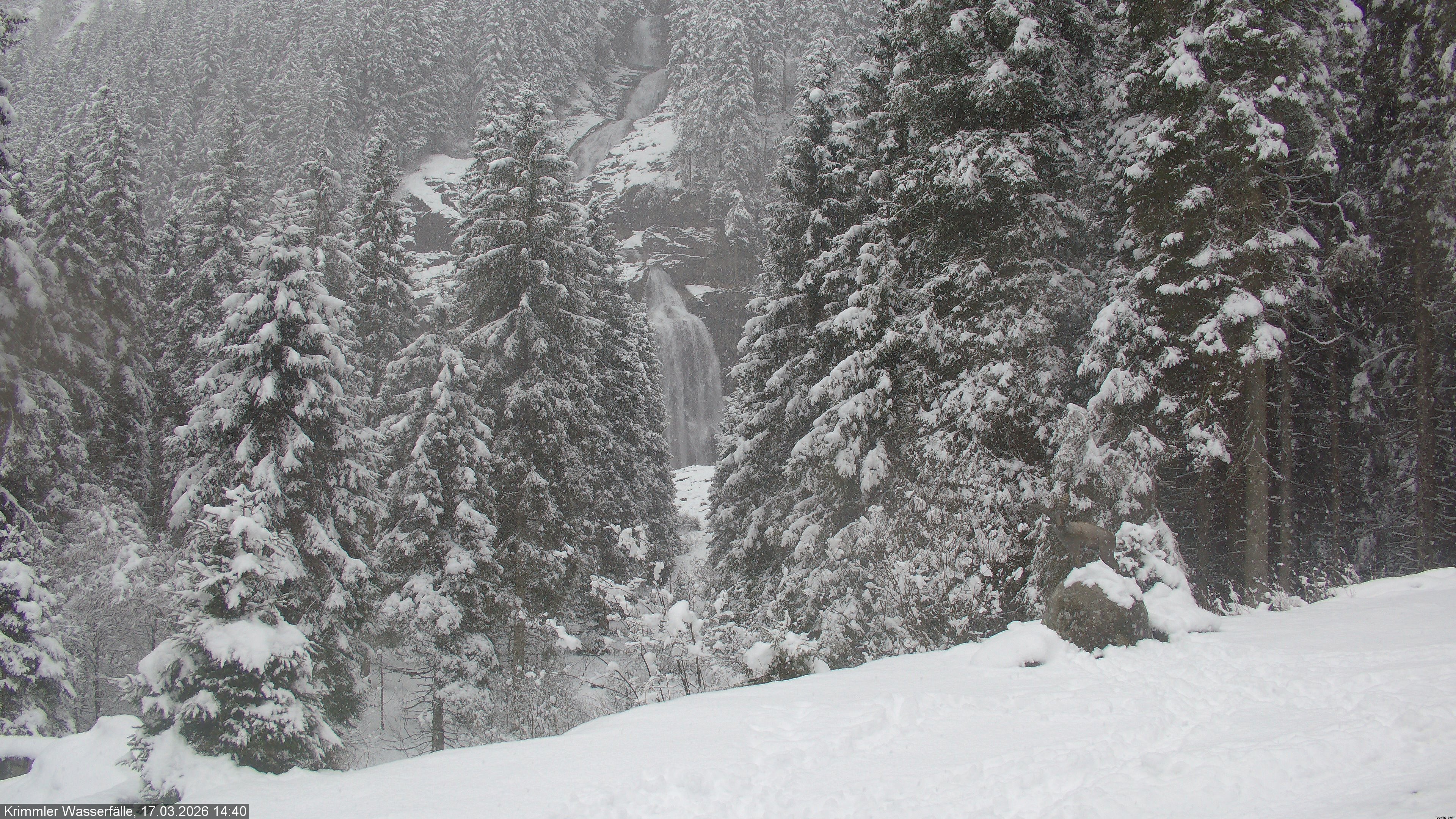 Archiv Foto Webcam Krimmler Wasserfall - Hanke's Café