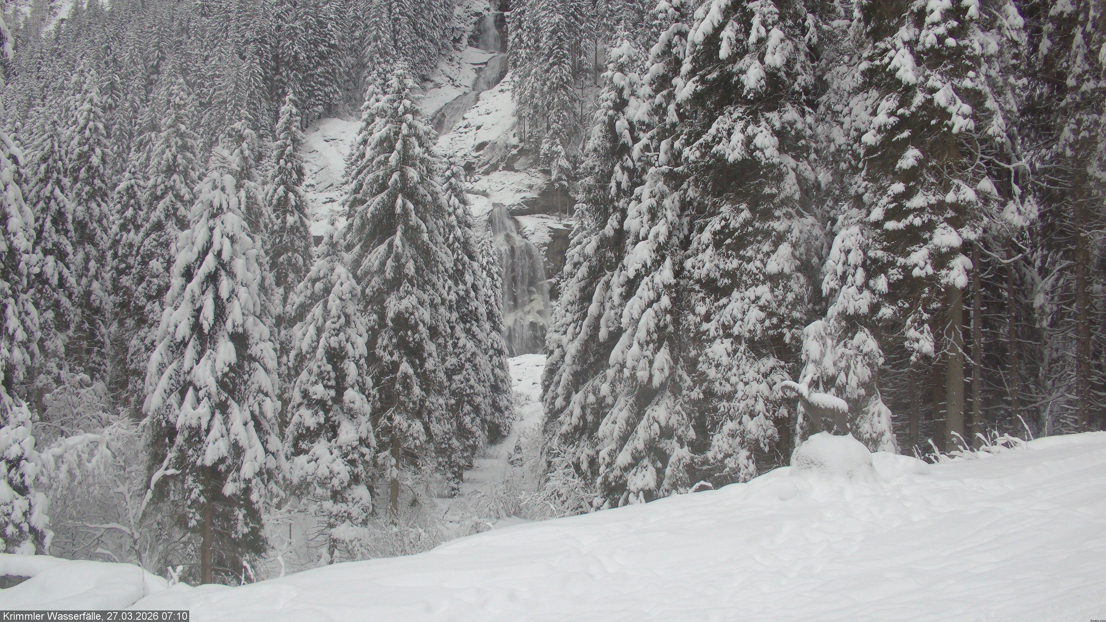 Archived image Webcam Hanke's Café - Krimml Waterfalls