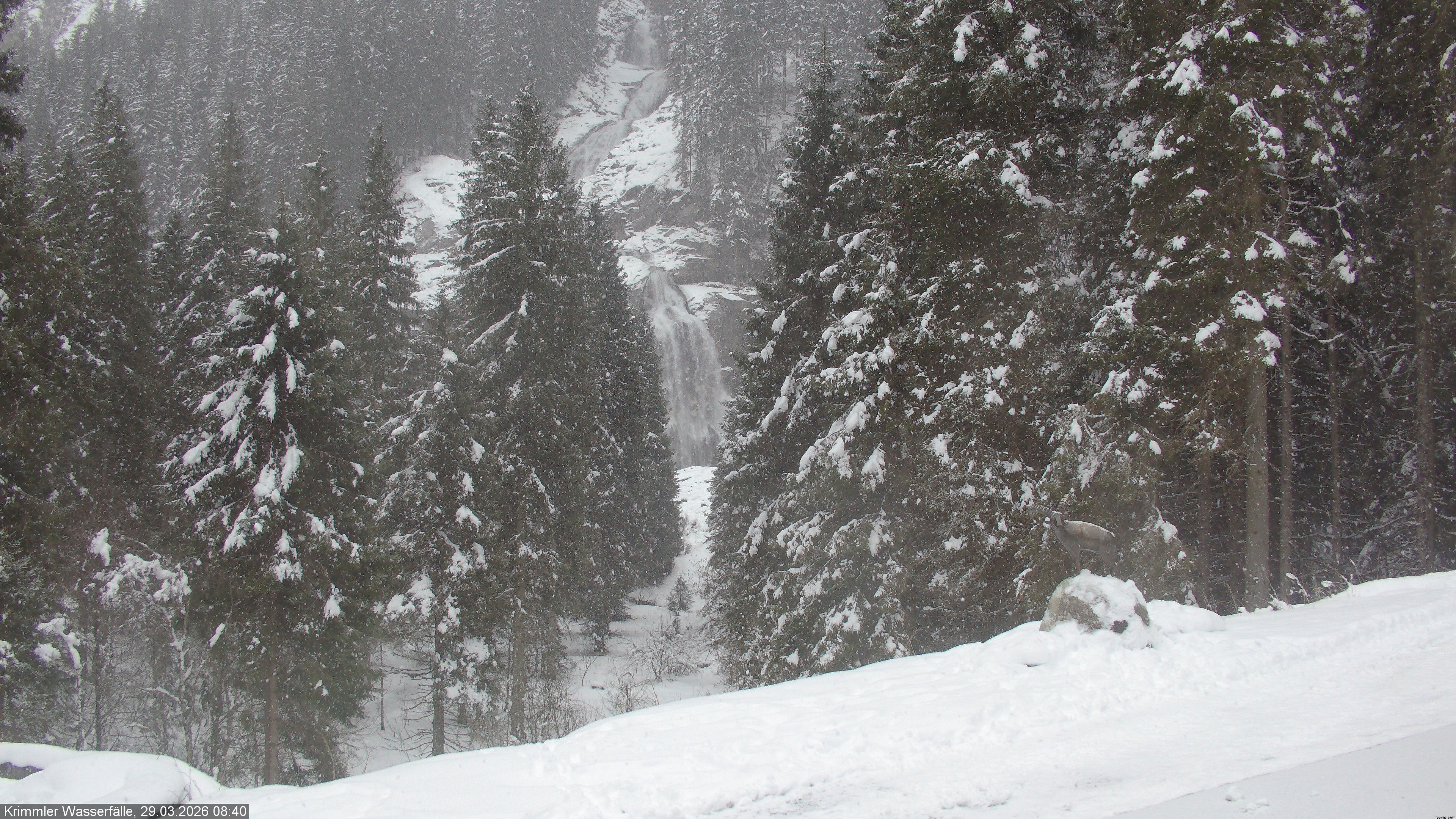 Archiv Foto Webcam Krimmler Wasserfall - Hanke's Café