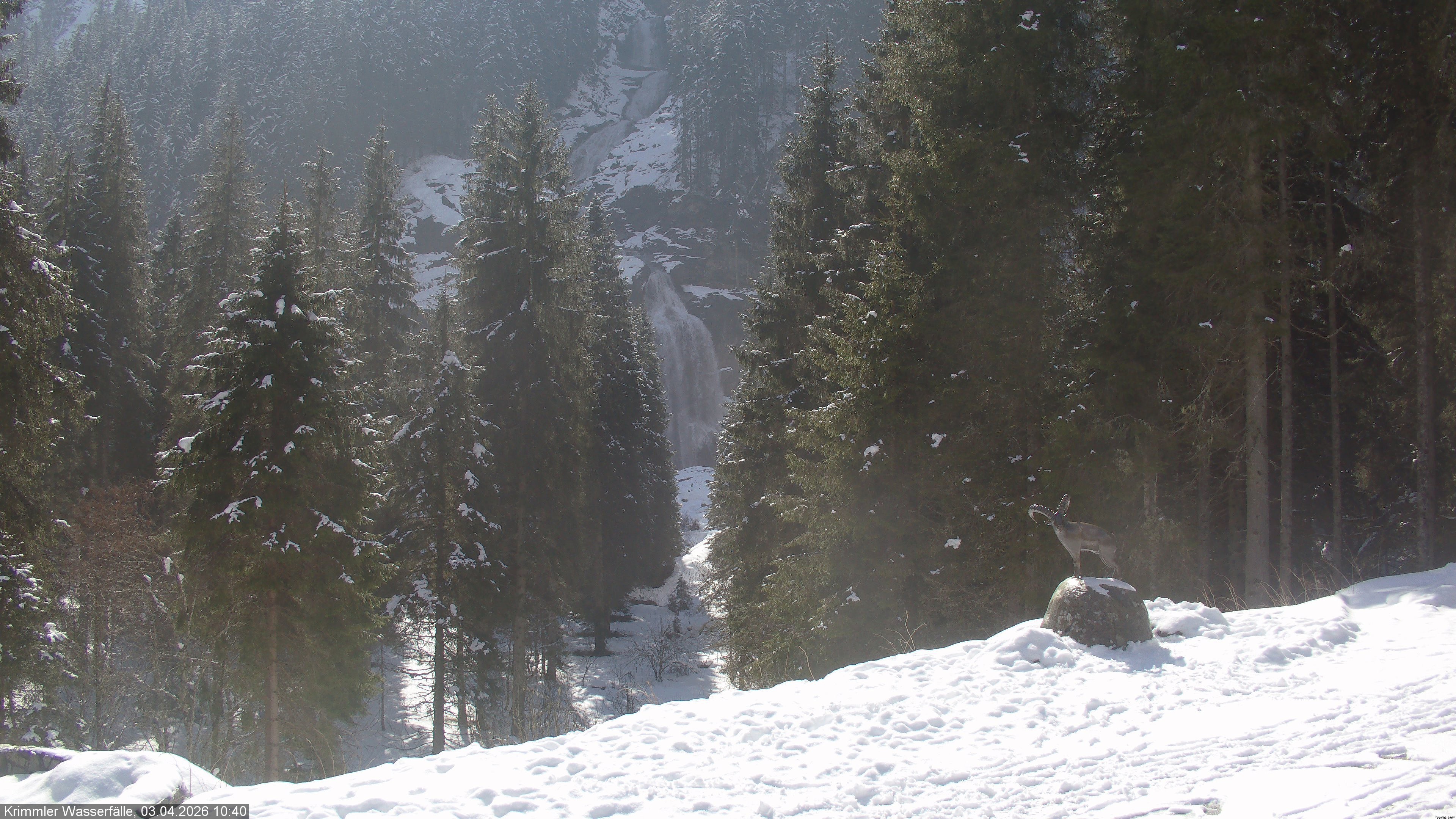 Archiv Foto Webcam Krimmler Wasserfall - Hanke's Café