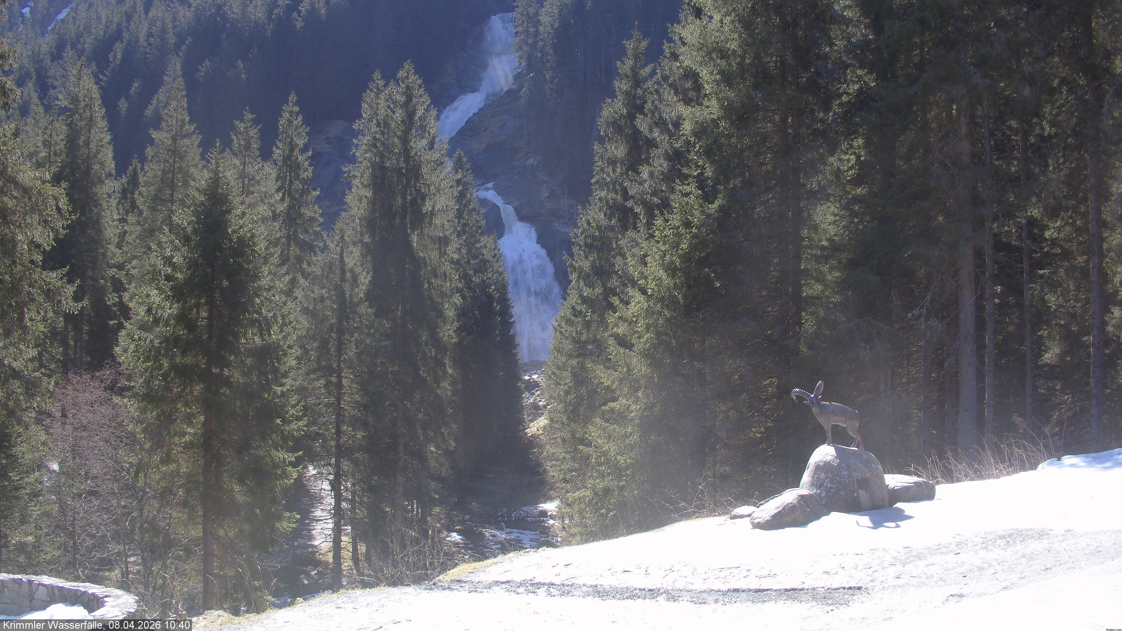 Archived image Webcam Hanke's Café - Krimml Waterfalls