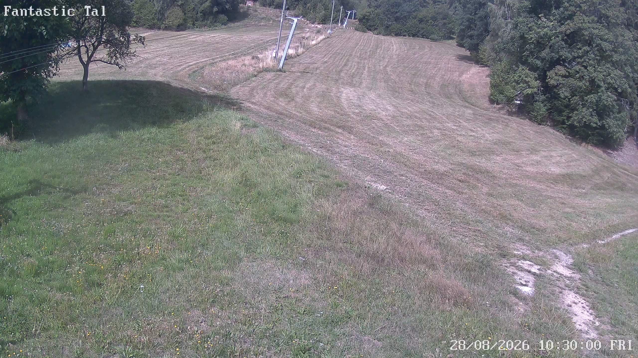 Archiv Foto Webcam Talstation Fantasticlift, Harmanschlag