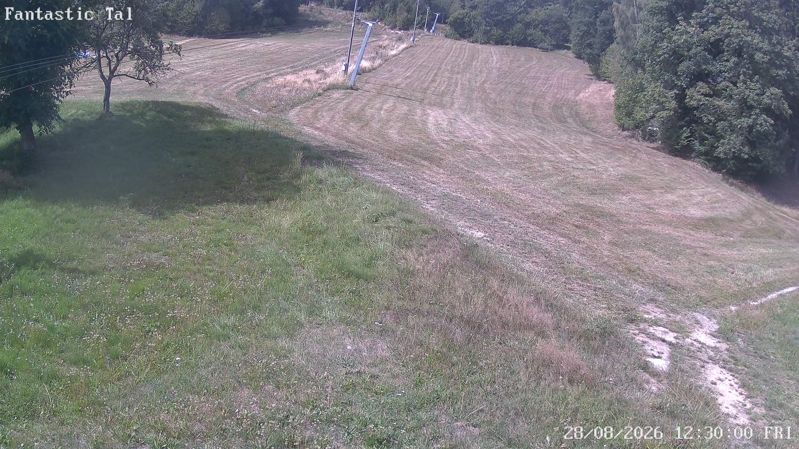 Archiv Foto Webcam Talstation Fantasticlift, Harmanschlag