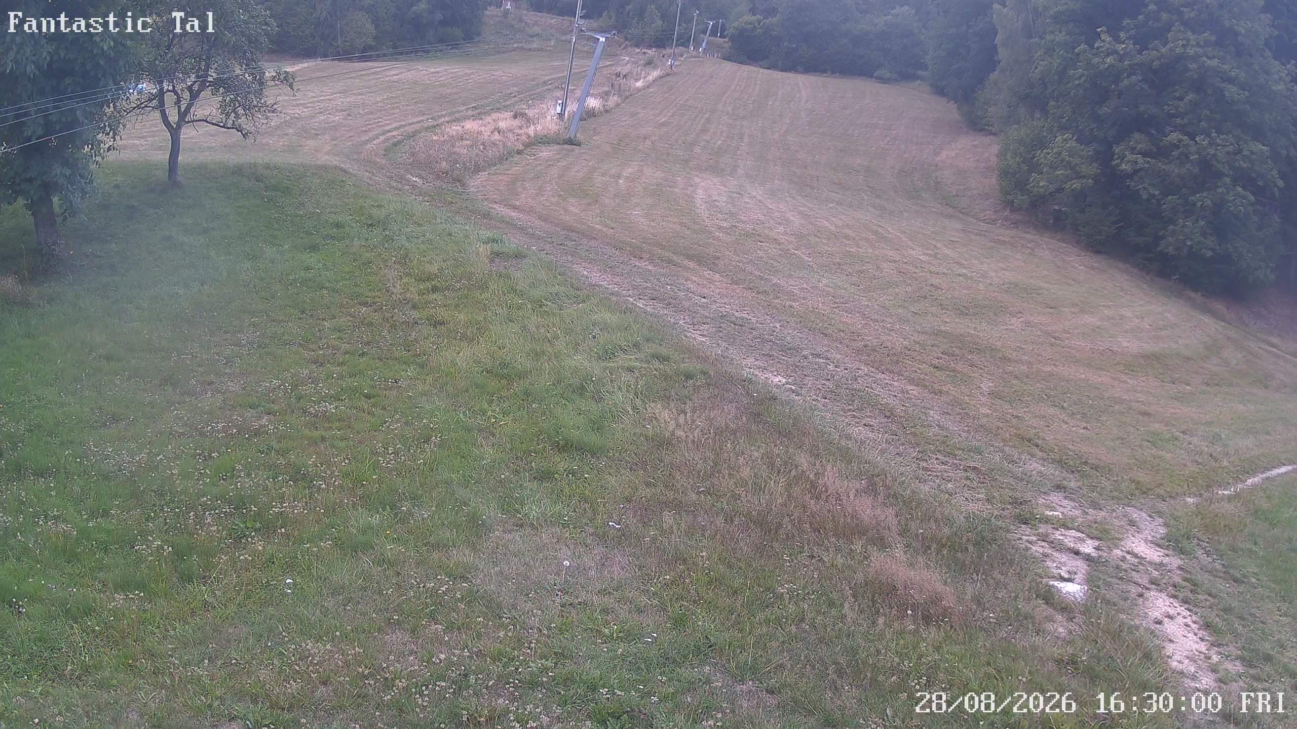 Archiv Foto Webcam Talstation Fantasticlift, Harmanschlag