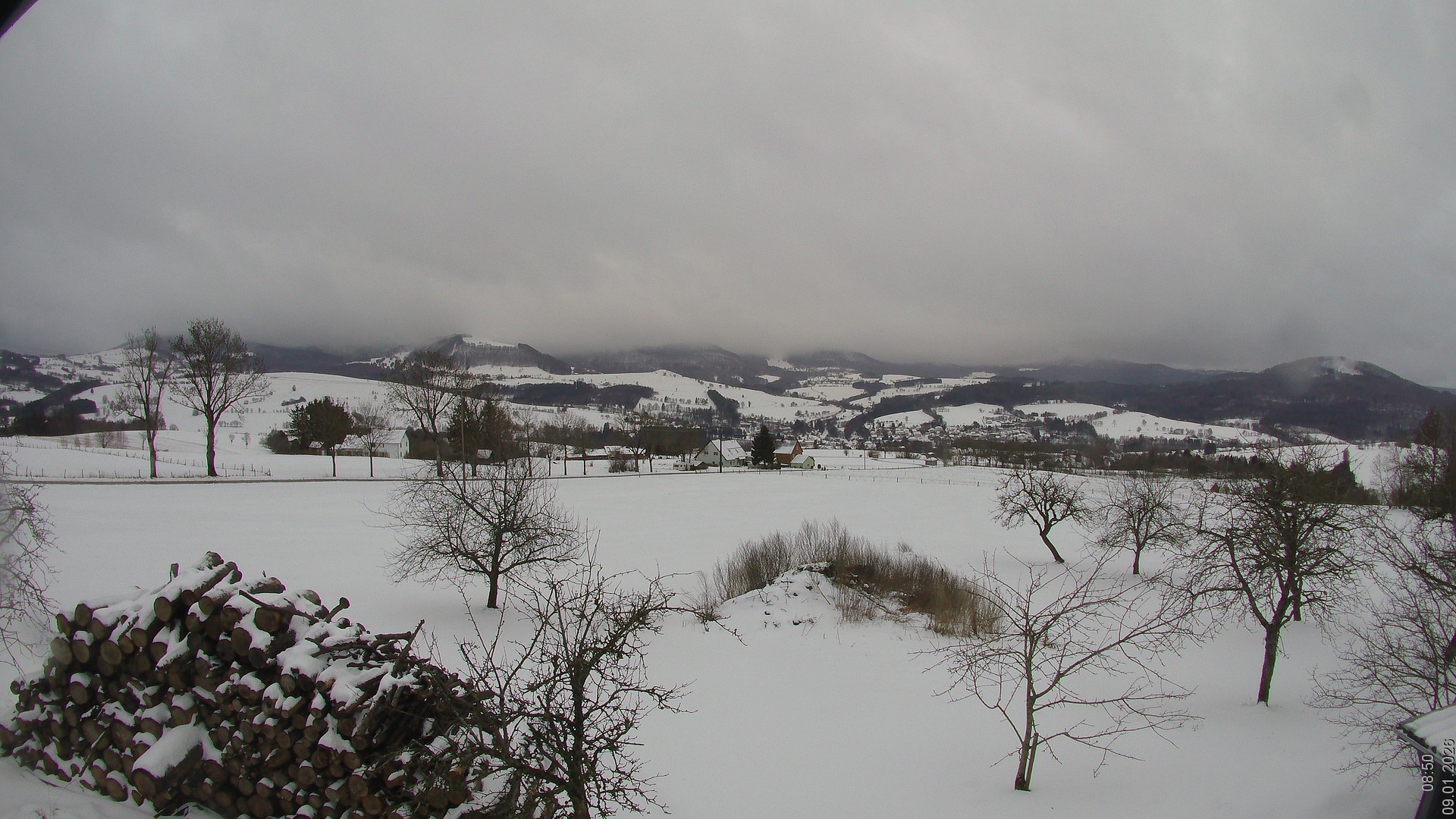Archiv Foto Webcam Bauer-Albert-Blick - Simmelsberg