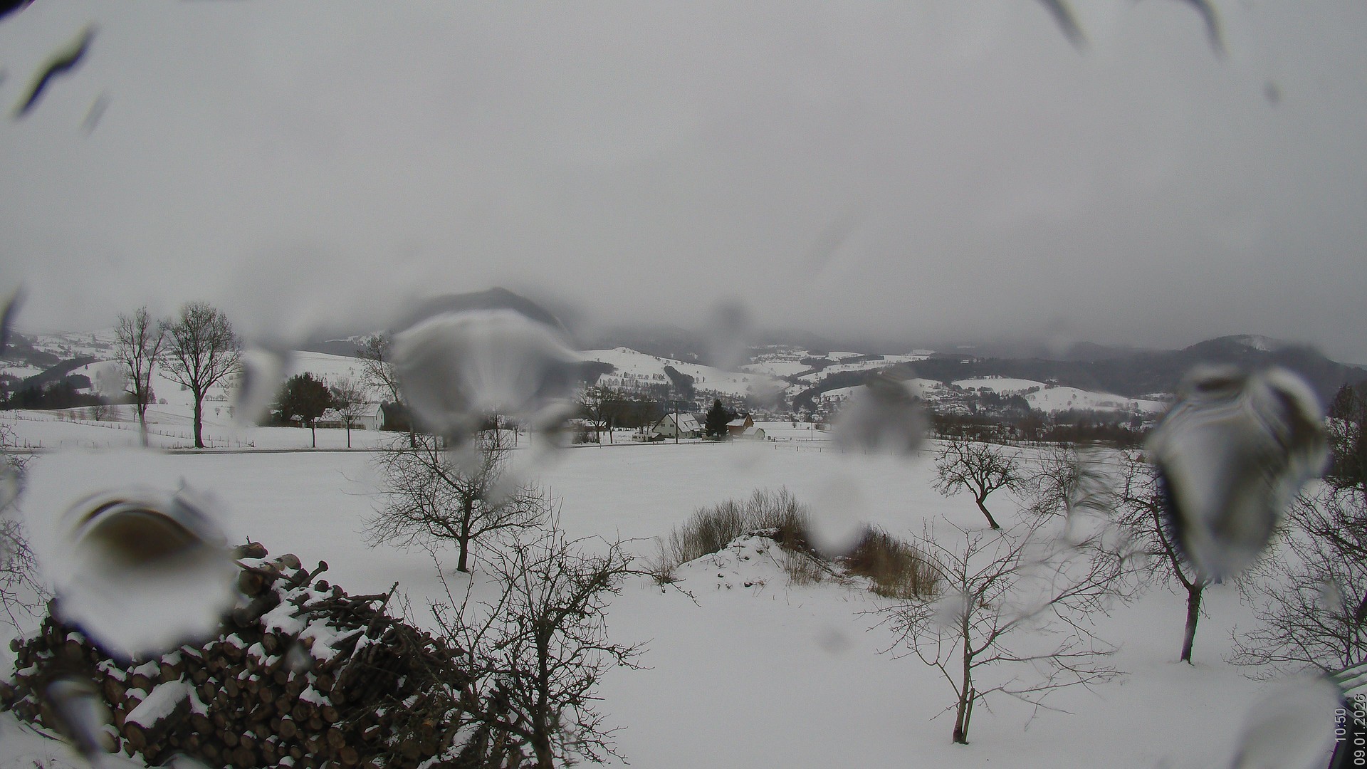Archiv Foto Webcam Bauer-Albert-Blick - Simmelsberg