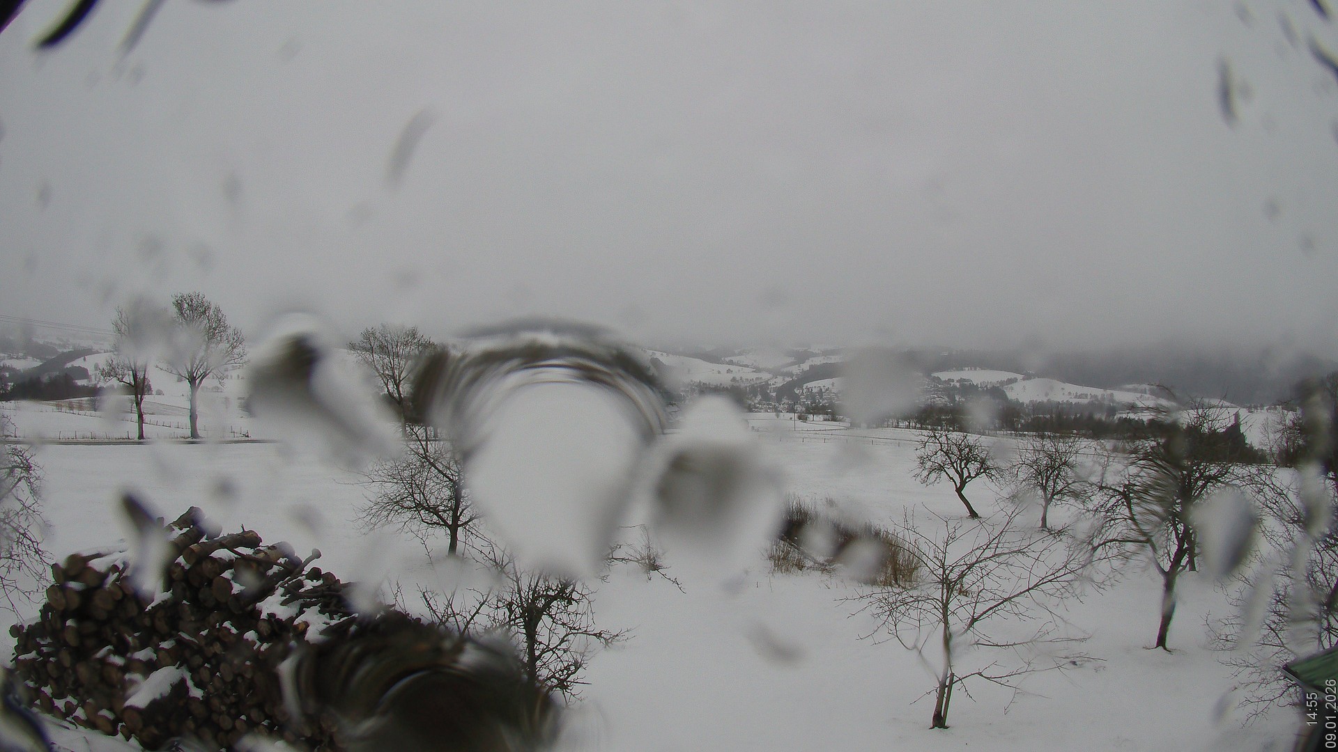 Archiv Foto Webcam Bauer-Albert-Blick - Simmelsberg