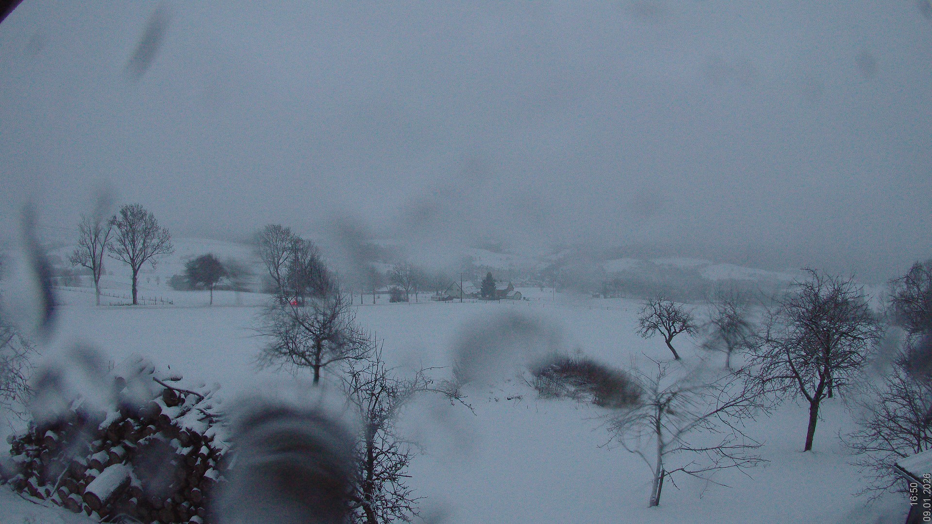 Archiv Foto Webcam Bauer-Albert-Blick - Simmelsberg