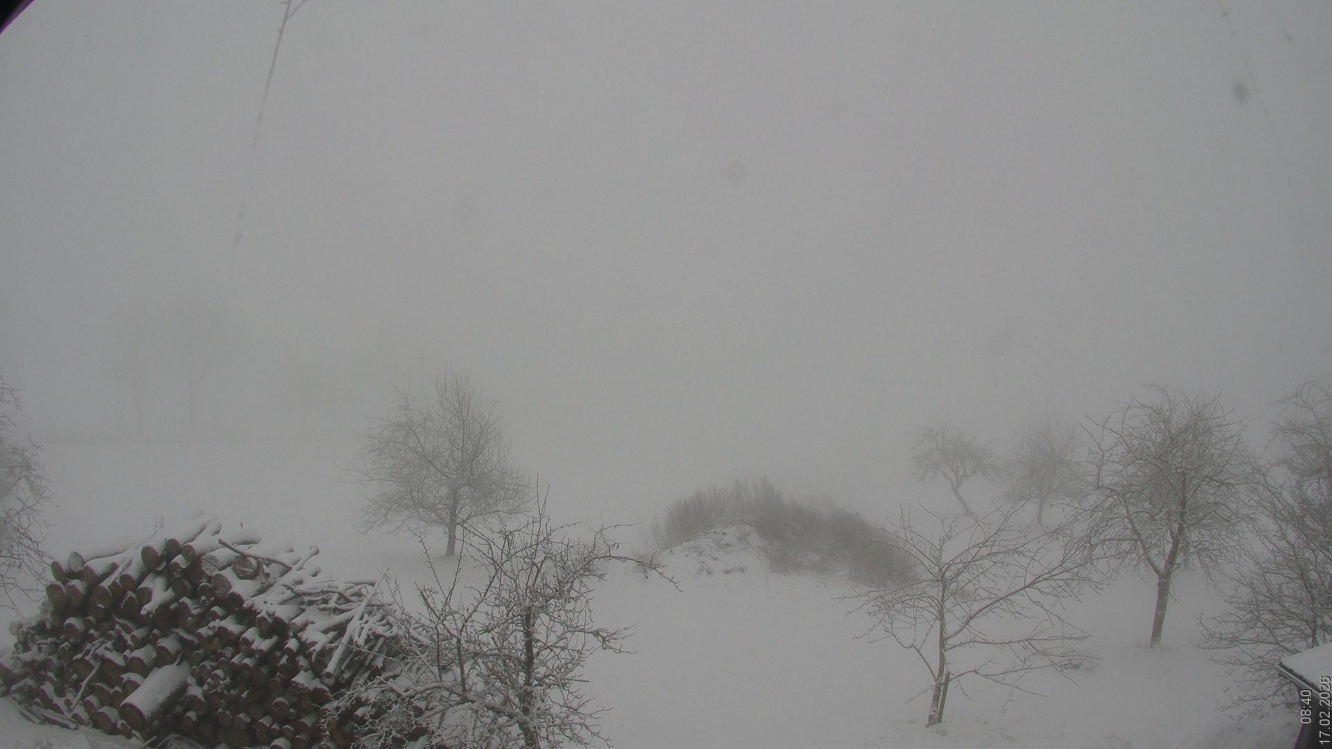 Archiv Foto Webcam Bauer-Albert-Blick - Simmelsberg