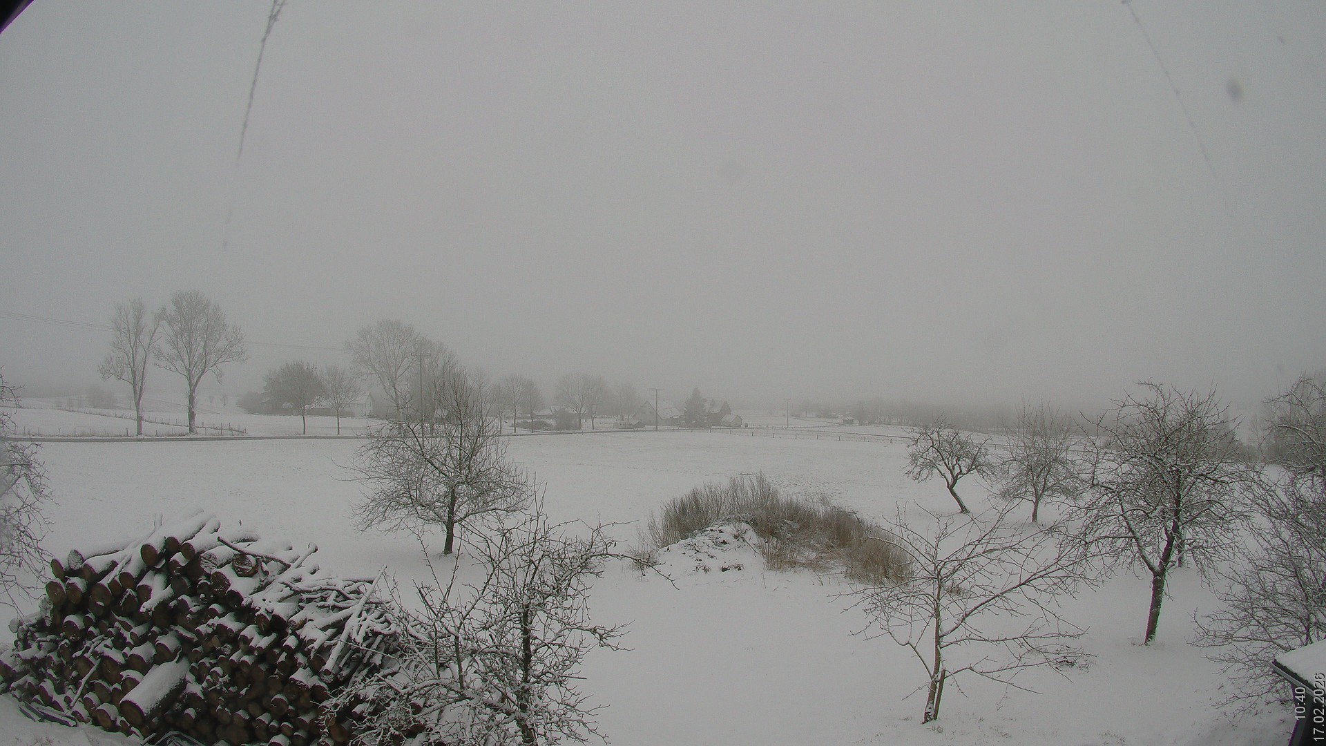 Archiv Foto Webcam Bauer-Albert-Blick - Simmelsberg