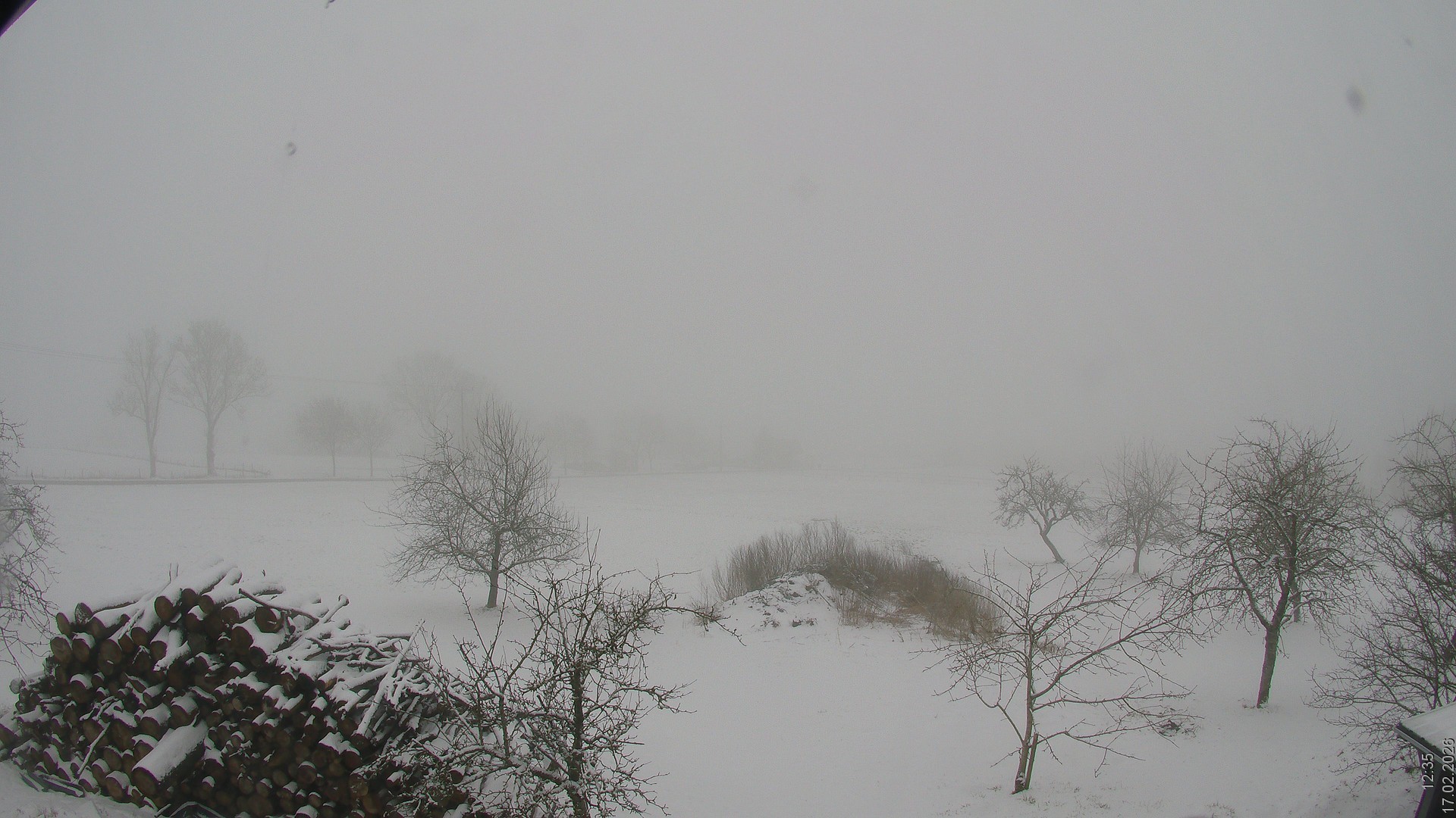 Archiv Foto Webcam Bauer-Albert-Blick - Simmelsberg