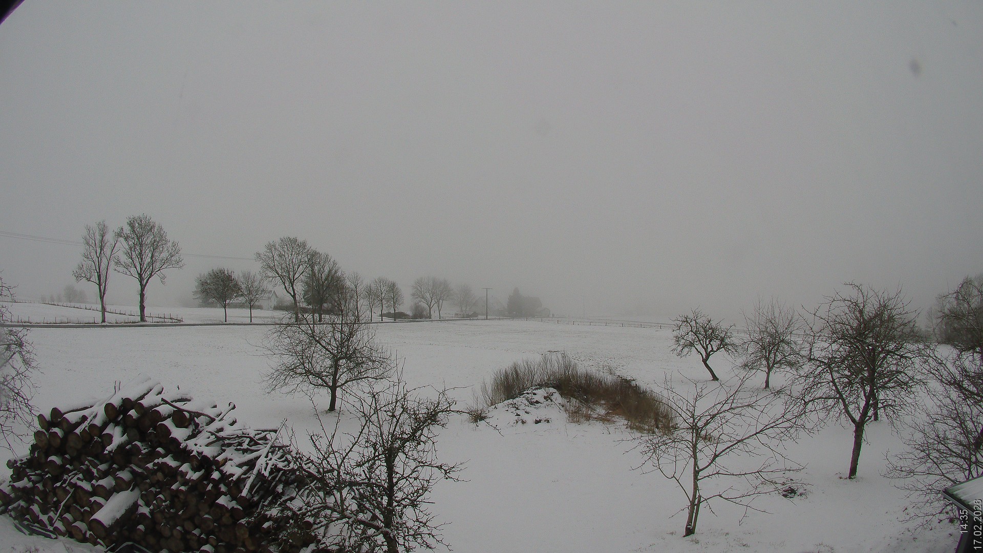 Archiv Foto Webcam Bauer-Albert-Blick - Simmelsberg