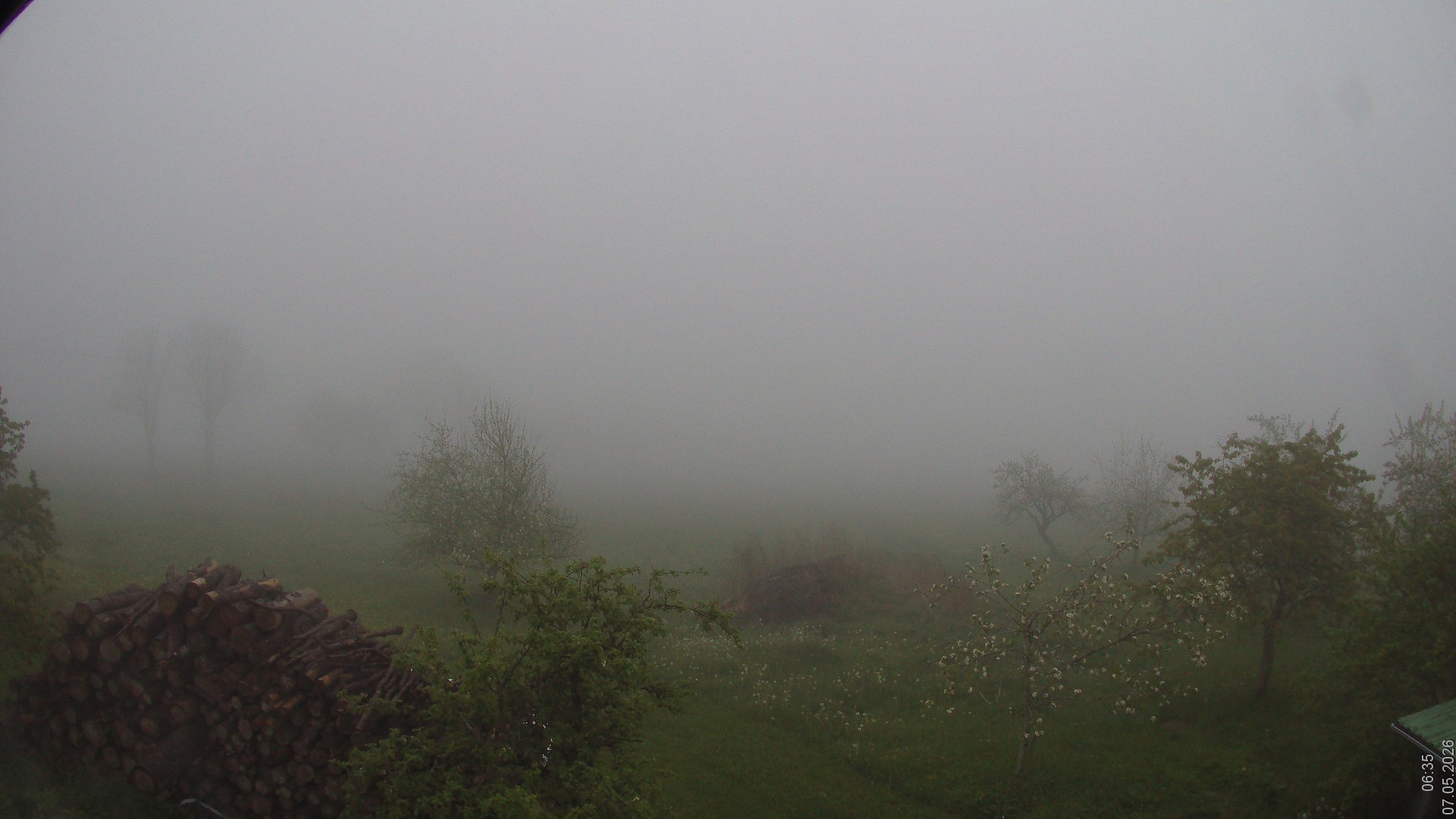 Archiv Foto Webcam Bauer-Albert-Blick - Simmelsberg