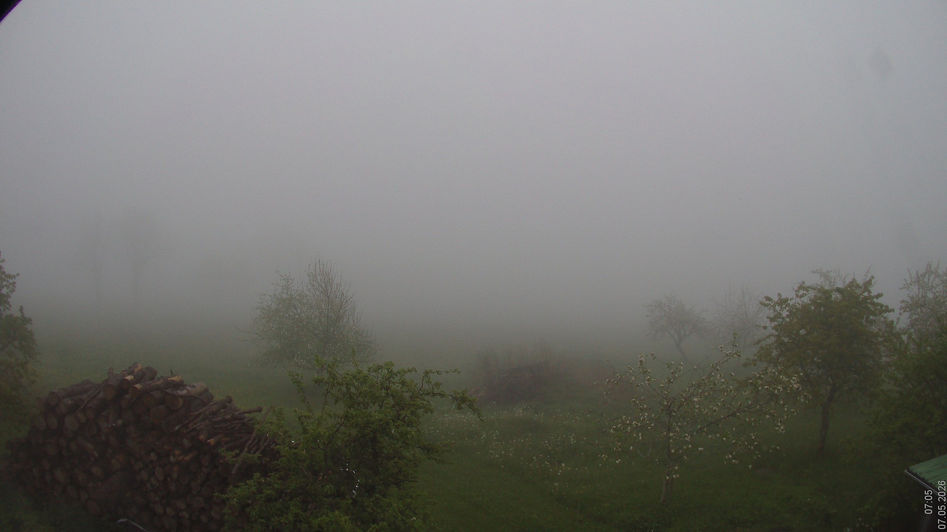 Archiv Foto Webcam Bauer-Albert-Blick - Simmelsberg