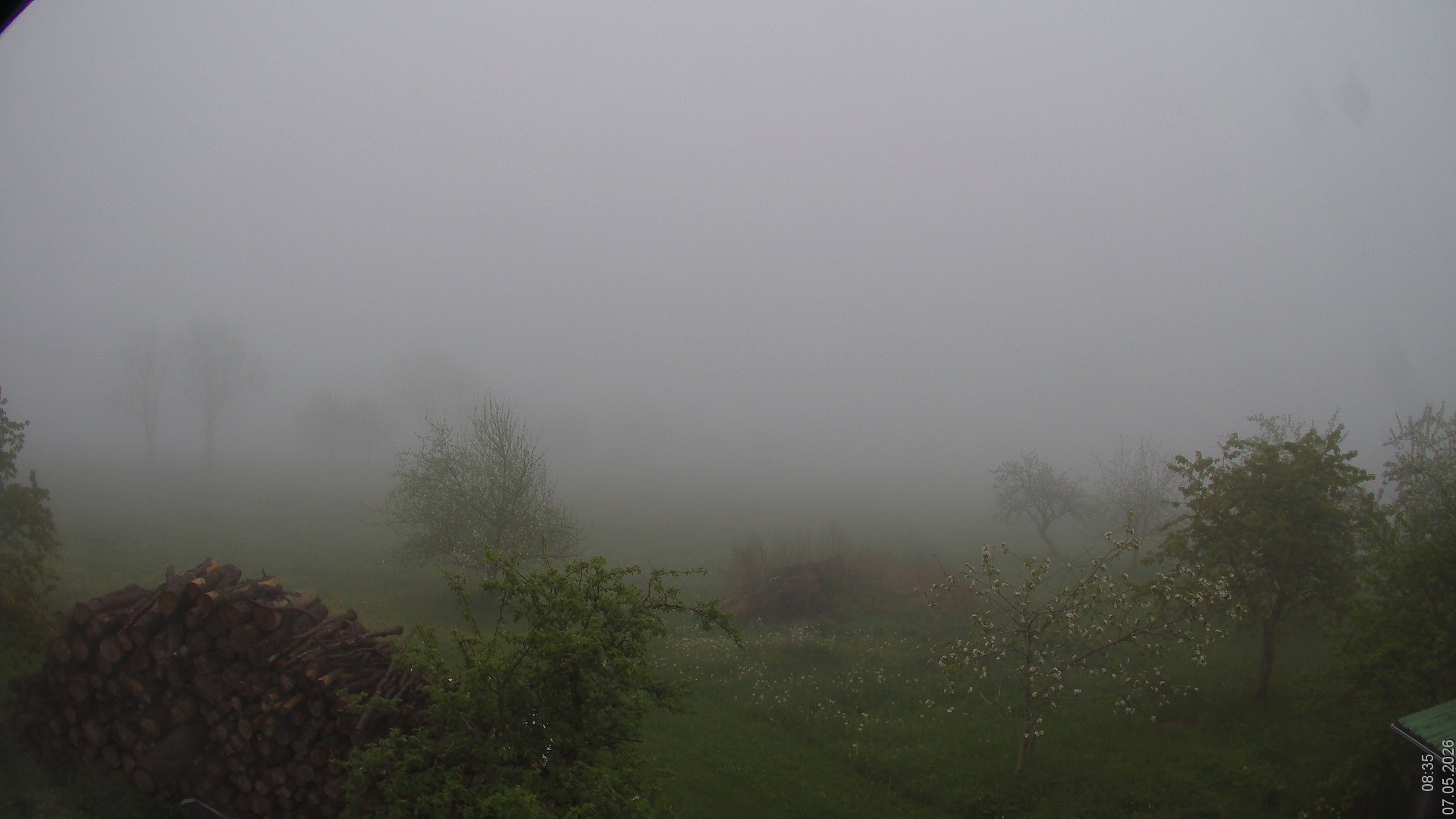 Archiv Foto Webcam Bauer-Albert-Blick - Simmelsberg