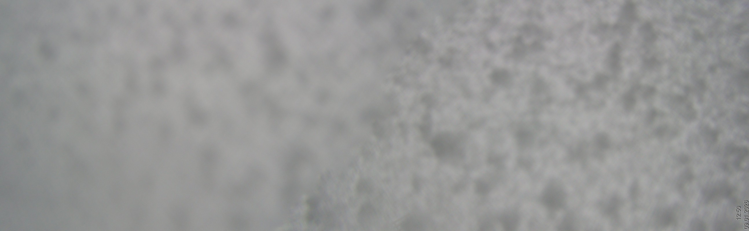 Archiv Foto Webcam Rudnigsattel - Blick Richtung Tressdorfer Höhe