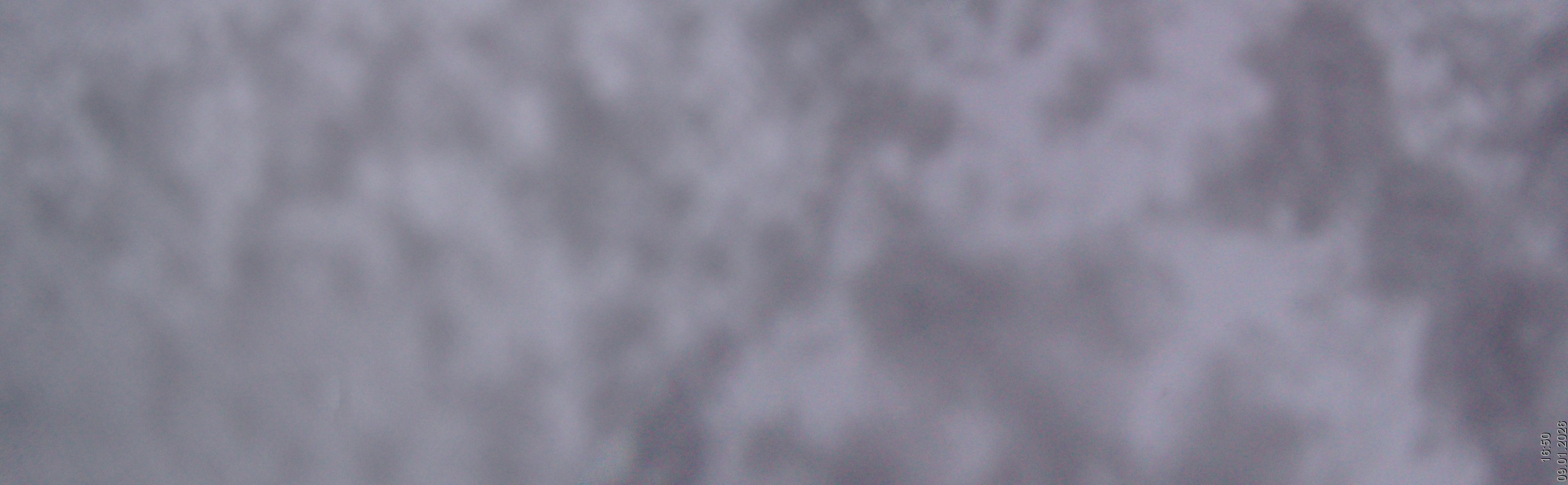 Archiv Foto Webcam Rudnigsattel - Blick Richtung Tressdorfer Höhe