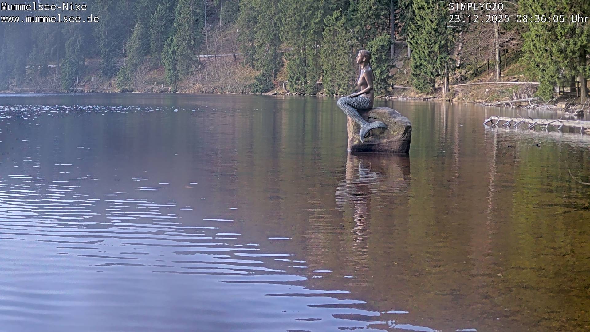 Archiv Foto Webcam Ufer Mummelsee