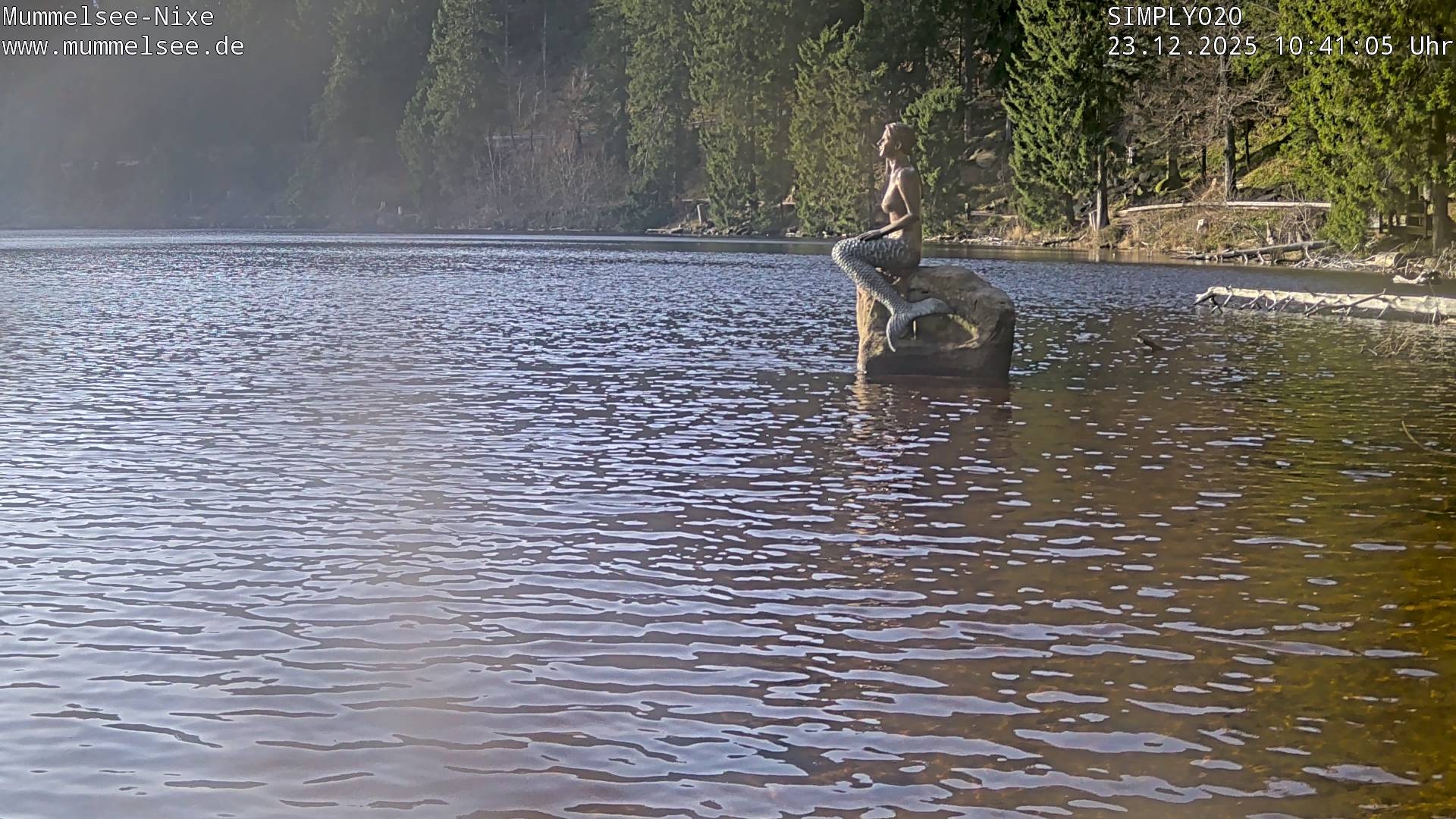 Archiv Foto Webcam Ufer Mummelsee