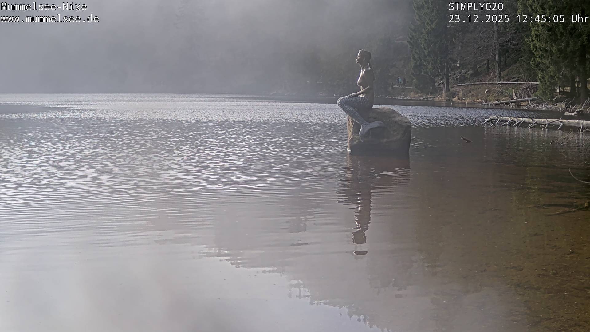 Archiv Foto Webcam Ufer Mummelsee
