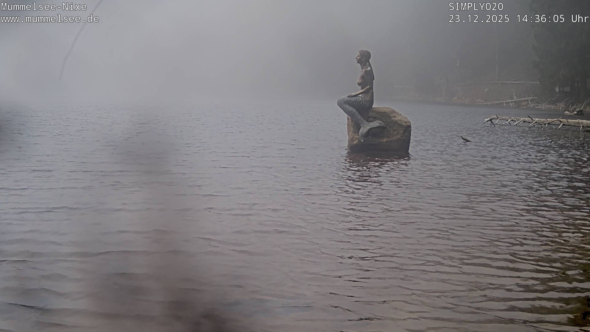 Archiv Foto Webcam Ufer Mummelsee