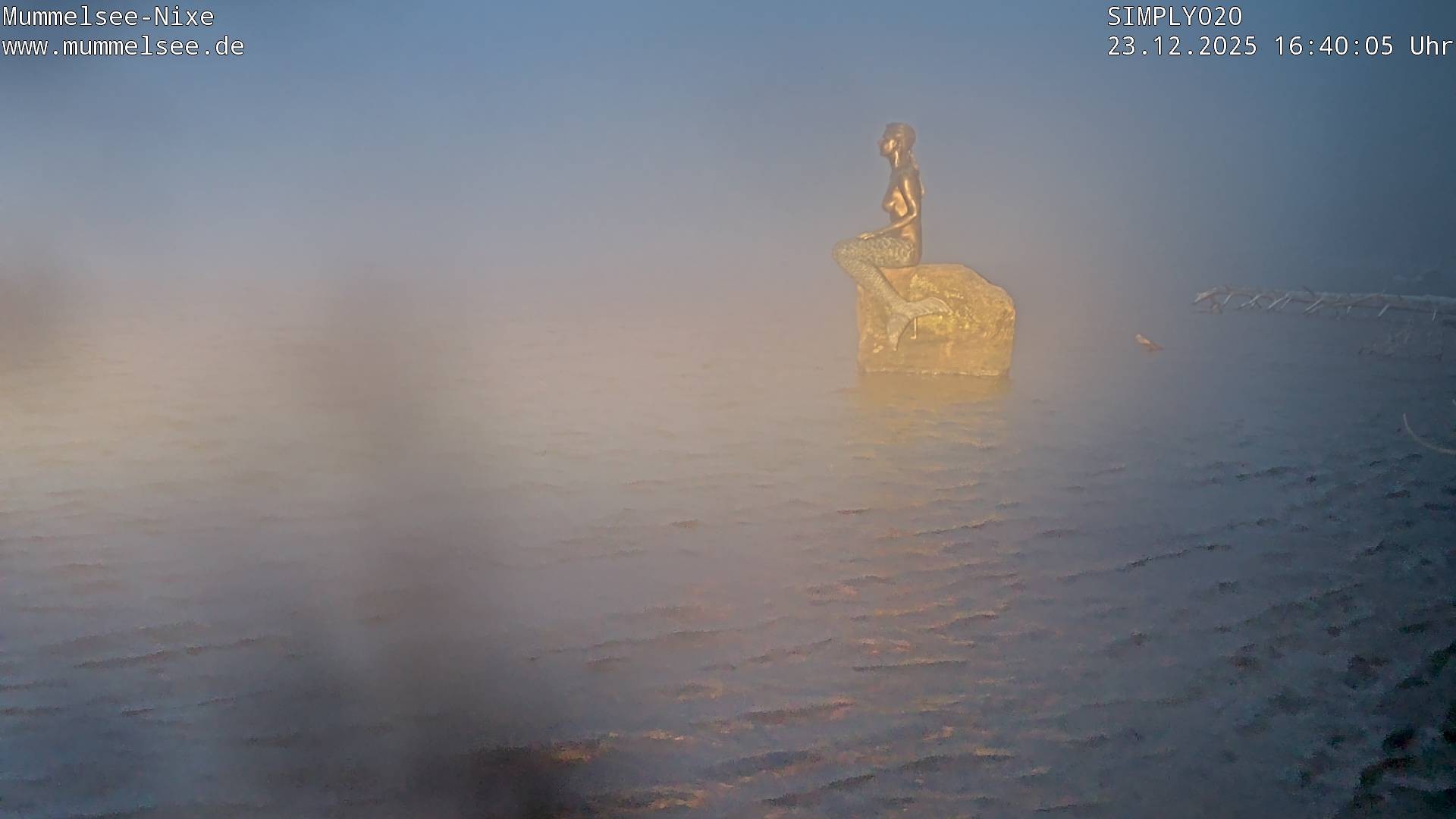 Archiv Foto Webcam Ufer Mummelsee