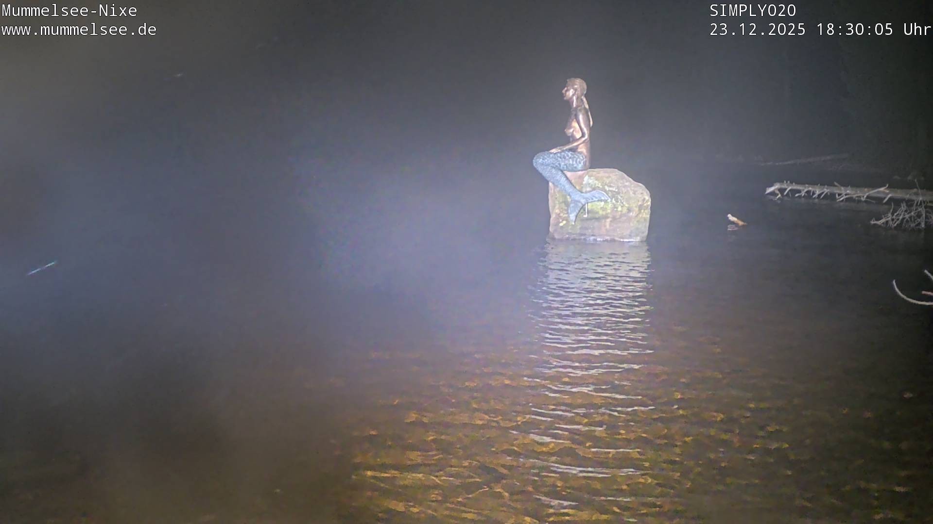 Archiv Foto Webcam Ufer Mummelsee