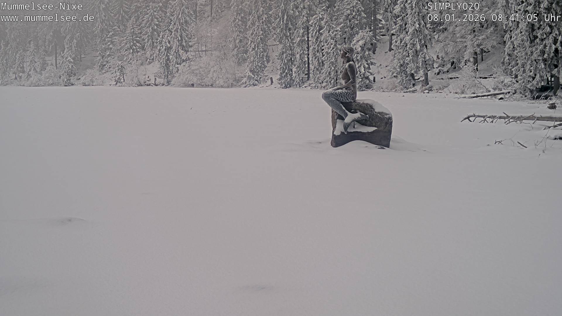 Archived image Webcam Lake Mummelsee - Black Forest