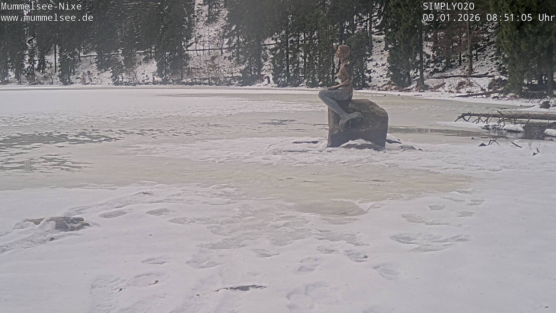 Archiv Foto Webcam Ufer Mummelsee