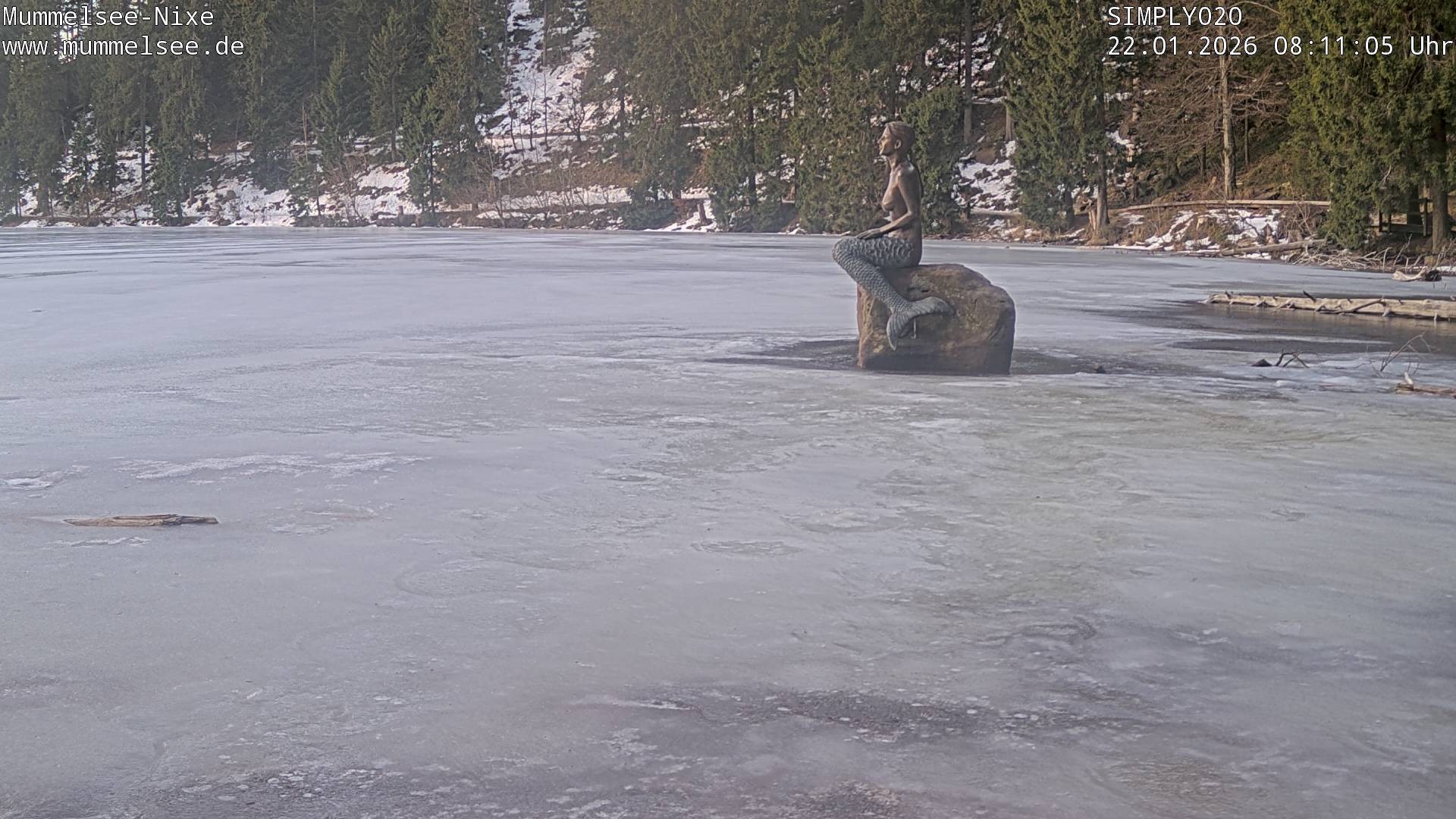 Archived image Webcam Lake Mummelsee - Black Forest